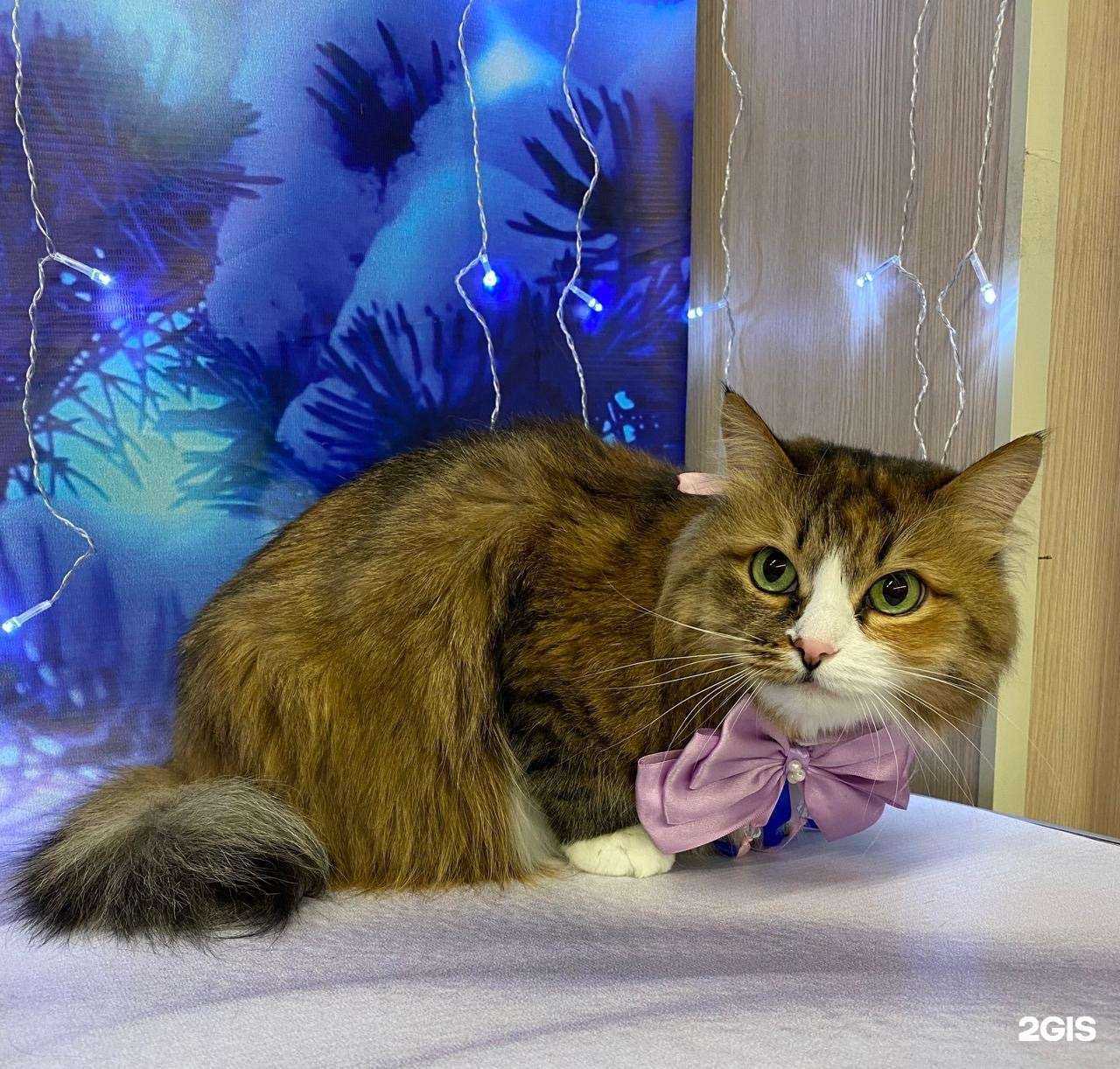 Отзывы на компанию Groom Time в г. Новосибирск c фото