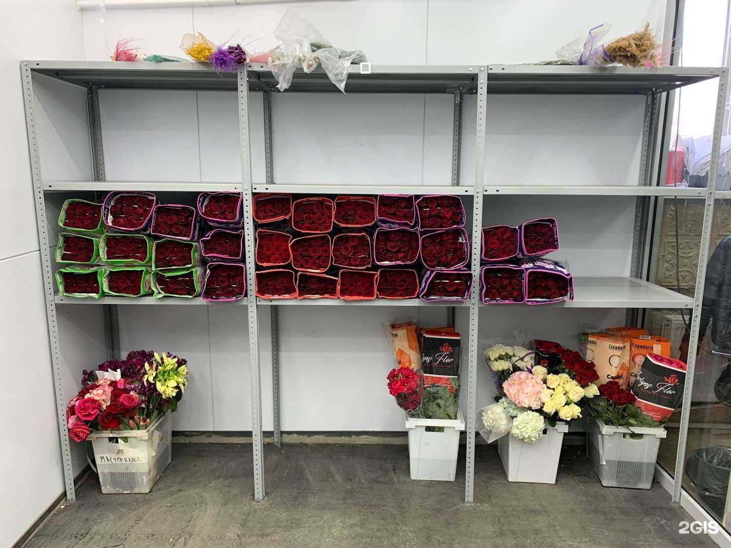 Отзывы на компанию Top Flora в Уфе c фото