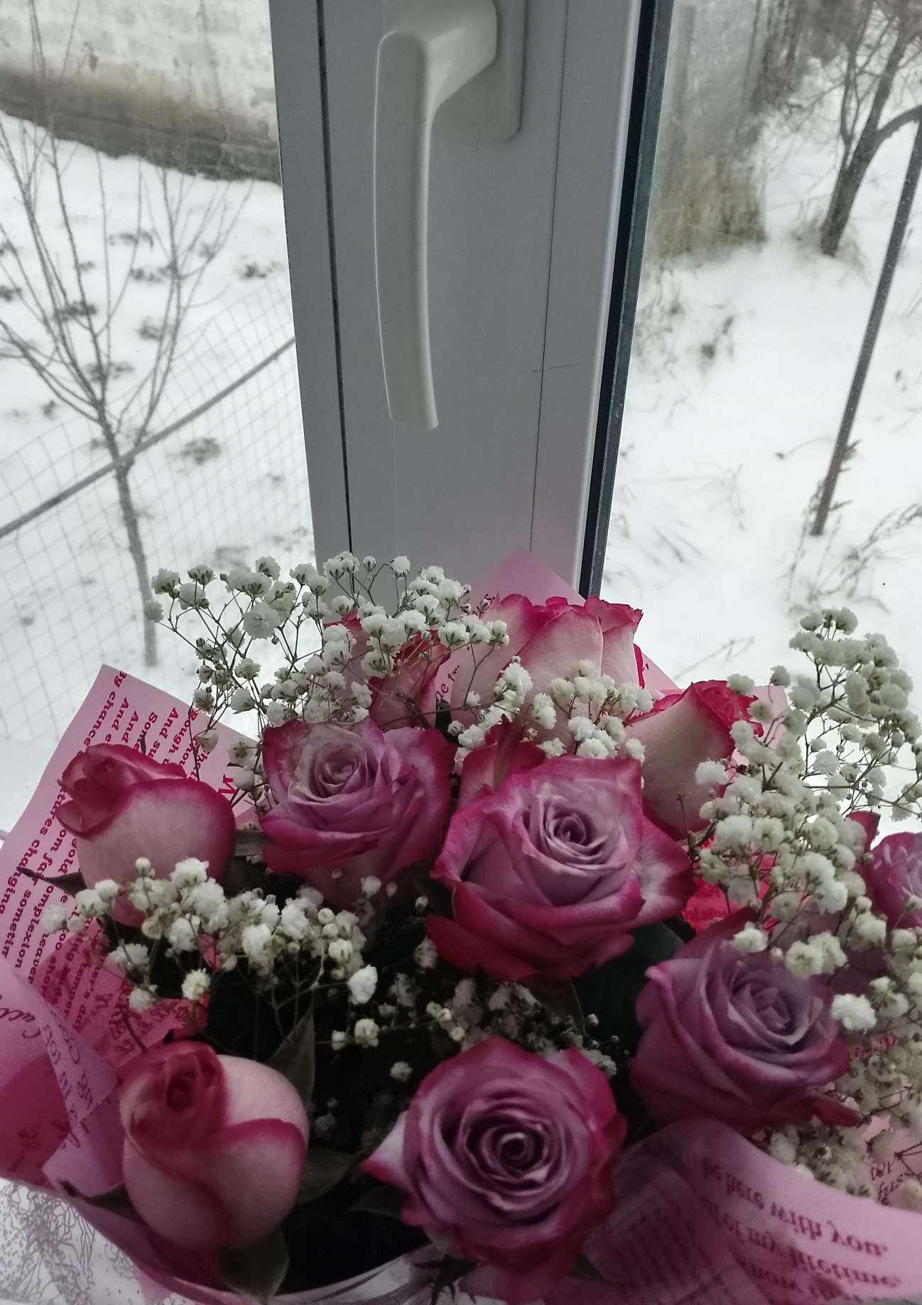 Отзывы на компанию Жасмин в г. Нижнекамск c фото