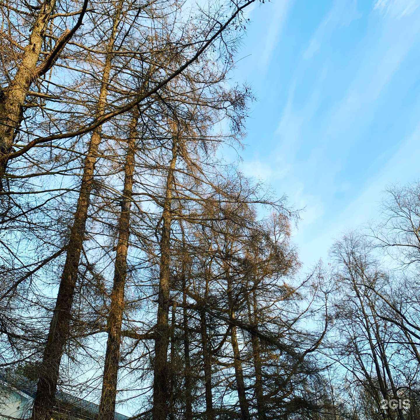 Отзывы на компанию Имидж в Орехово-Зуеве c фото - фотография 2 из 2