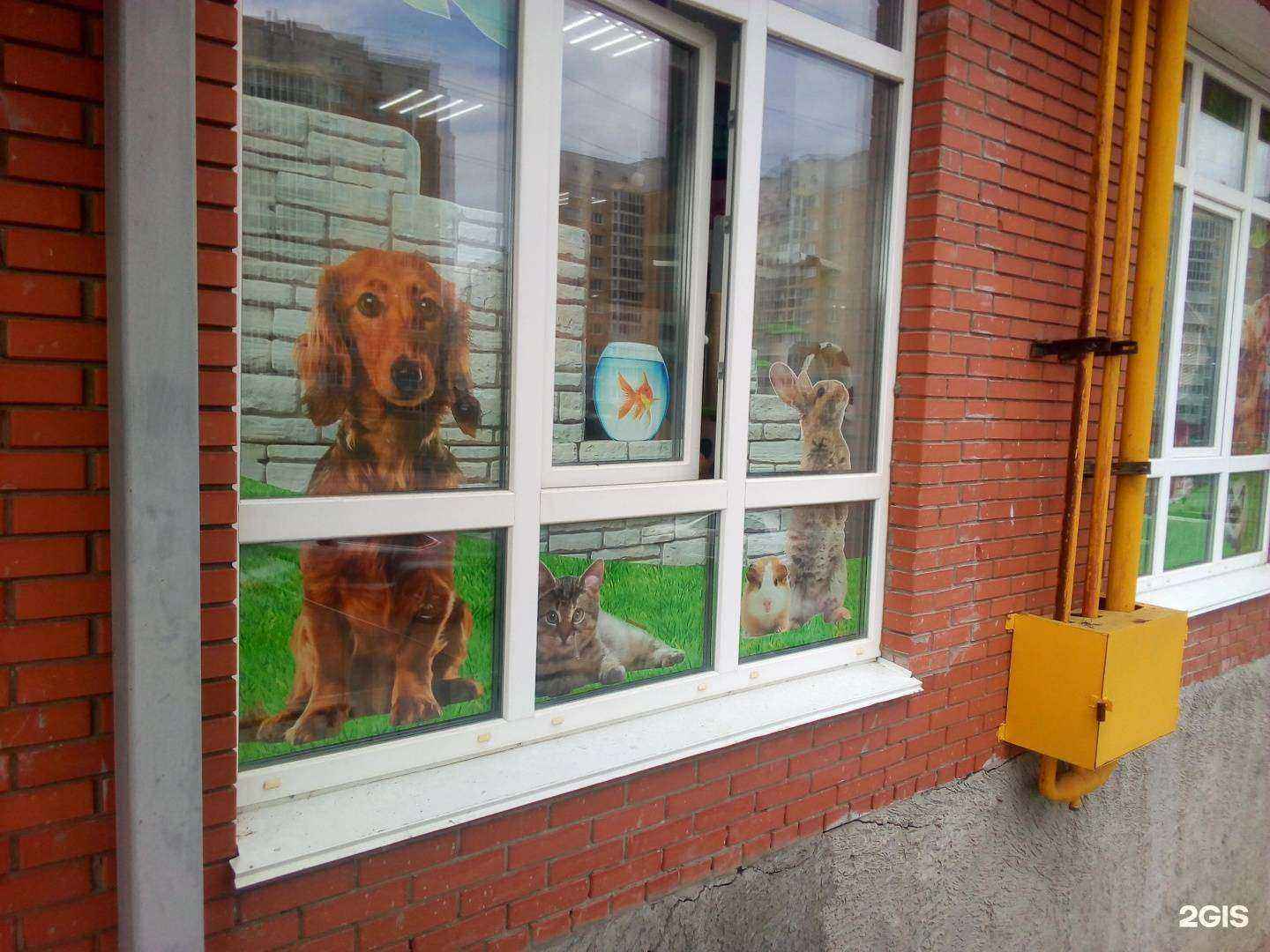 Отзывы на компанию Зоосервис в г. Чебоксары c фото