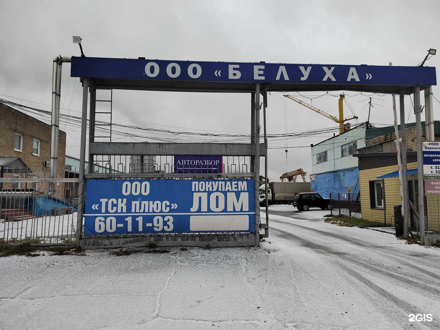 Отзывы на компанию ТСК плюс в Барнауле c фото - фотография 2 из 2