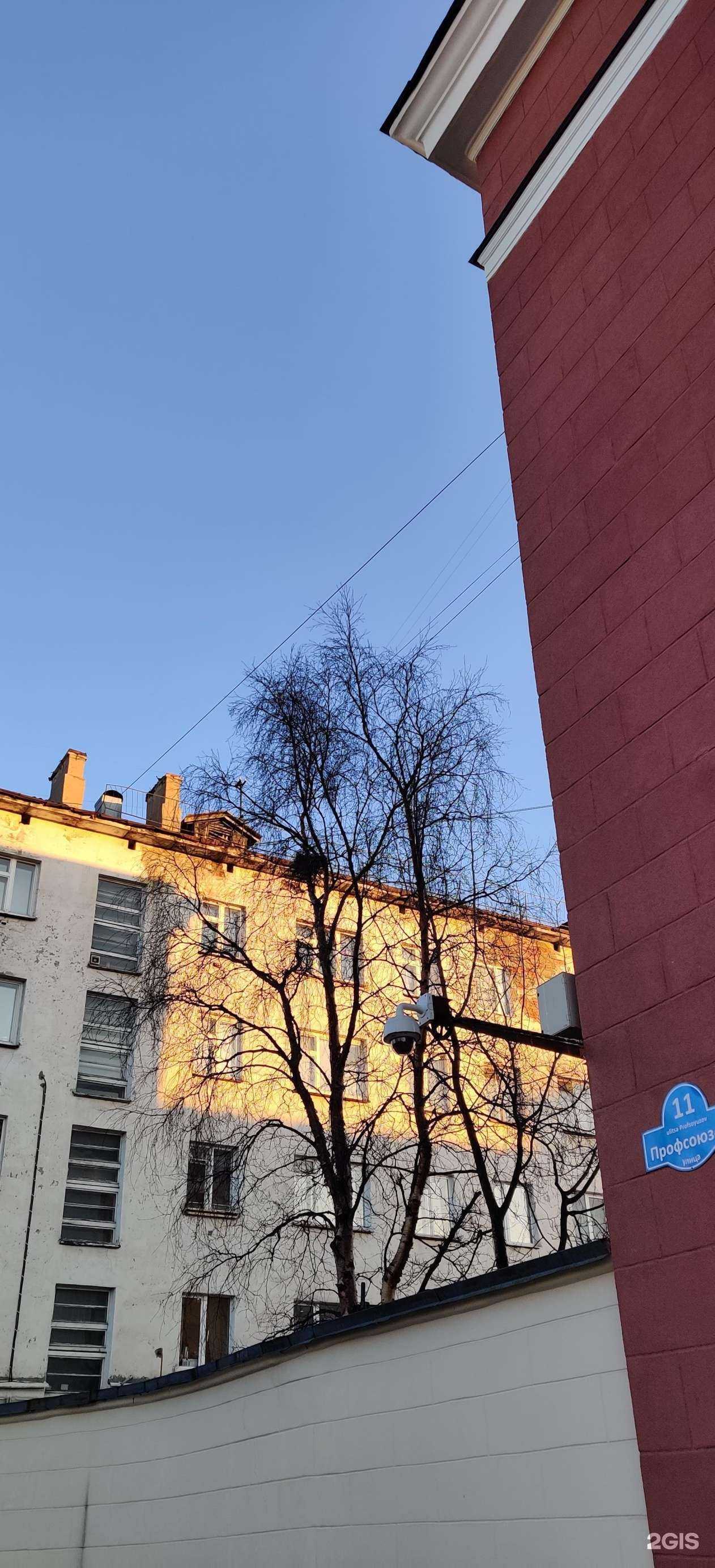 Отзывы на компанию Медоед в Мурманске c фото