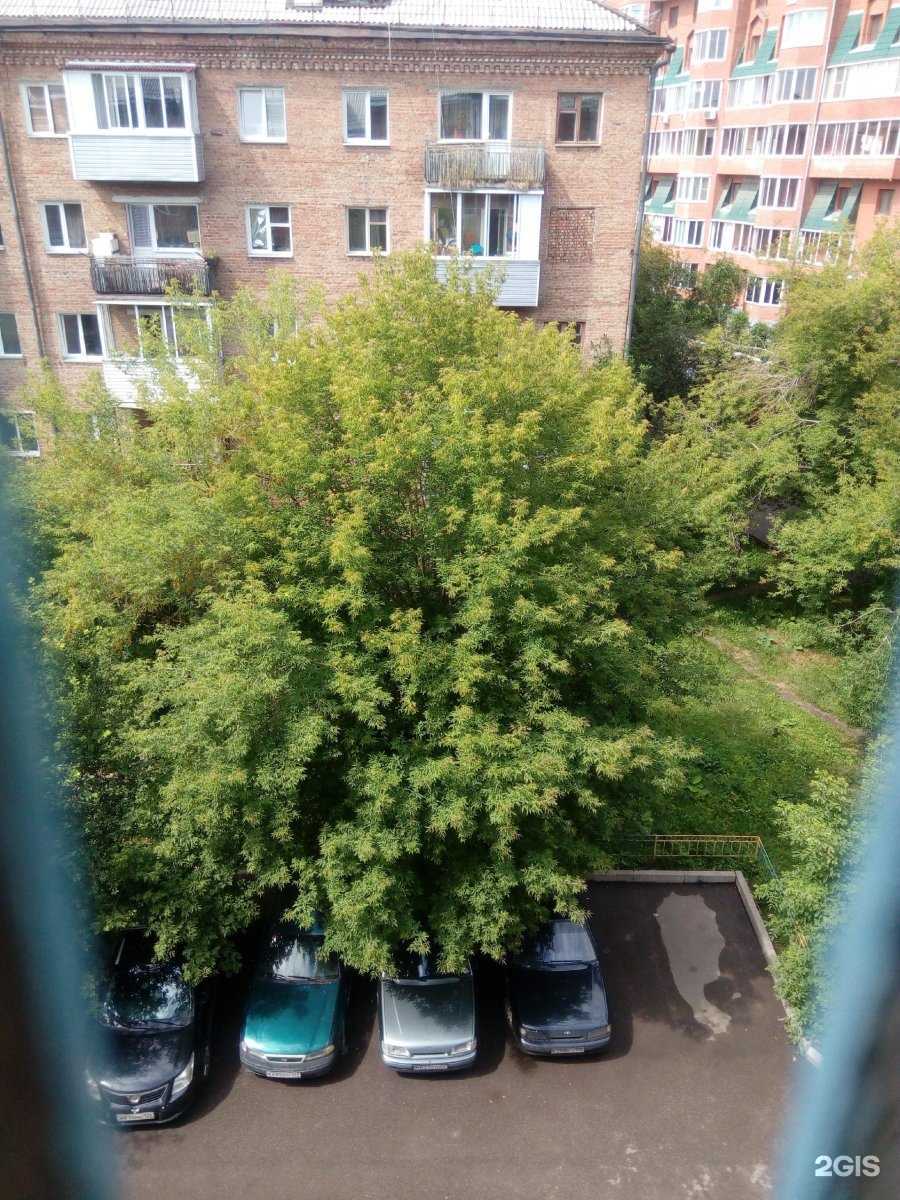 Отзывы на компанию Новая аптека в Красноярске c фото - фотография 2 из 2