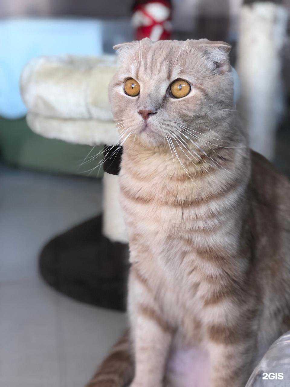 Отзывы на компанию Terrakot Hotel в г. Краснодар c фото