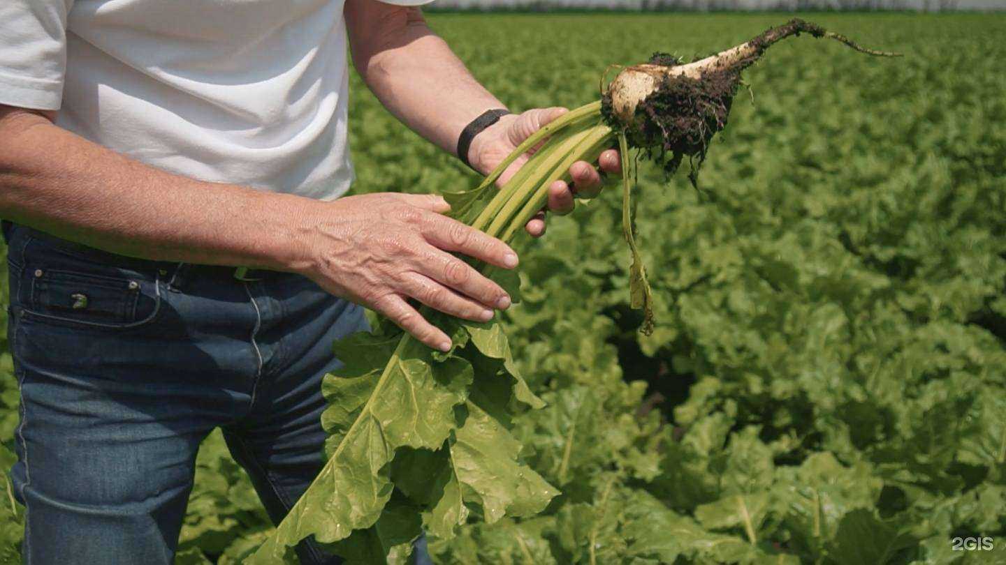 Отзывы на компанию Юграс в Краснодаре c фото