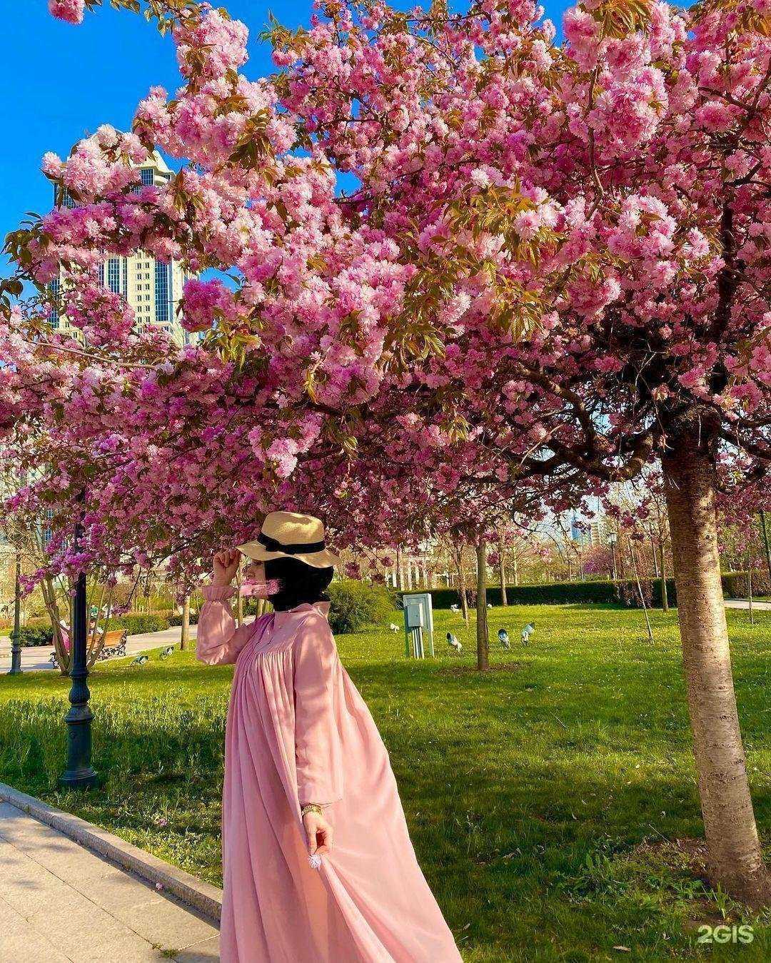 Отзывы на компанию Amina Apaeva в г. Грозный c фото