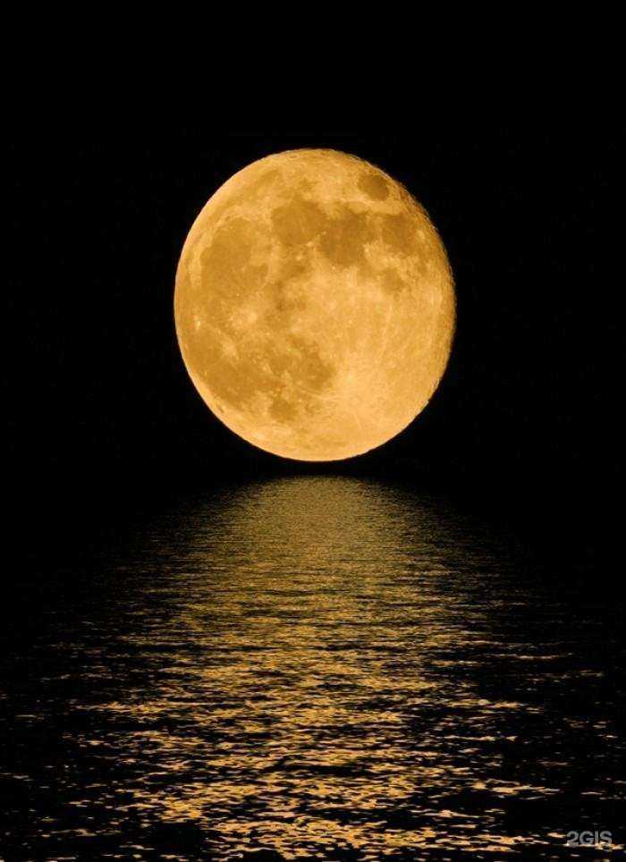 Отзывы на компанию Русский сад в г. Бор c фото