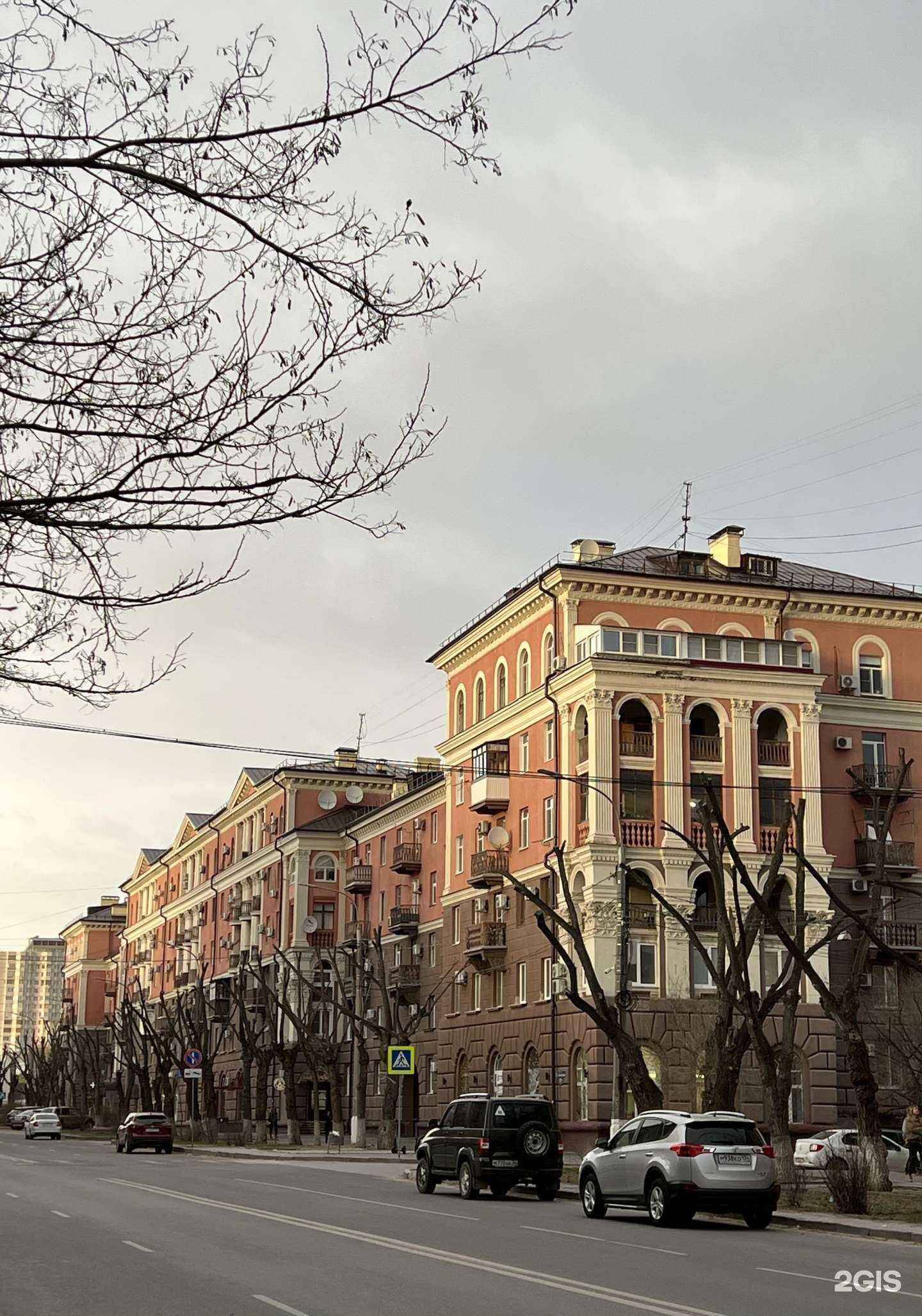 Отзывы на компанию Айболит в Волгограде c фото - фотография 2 из 2