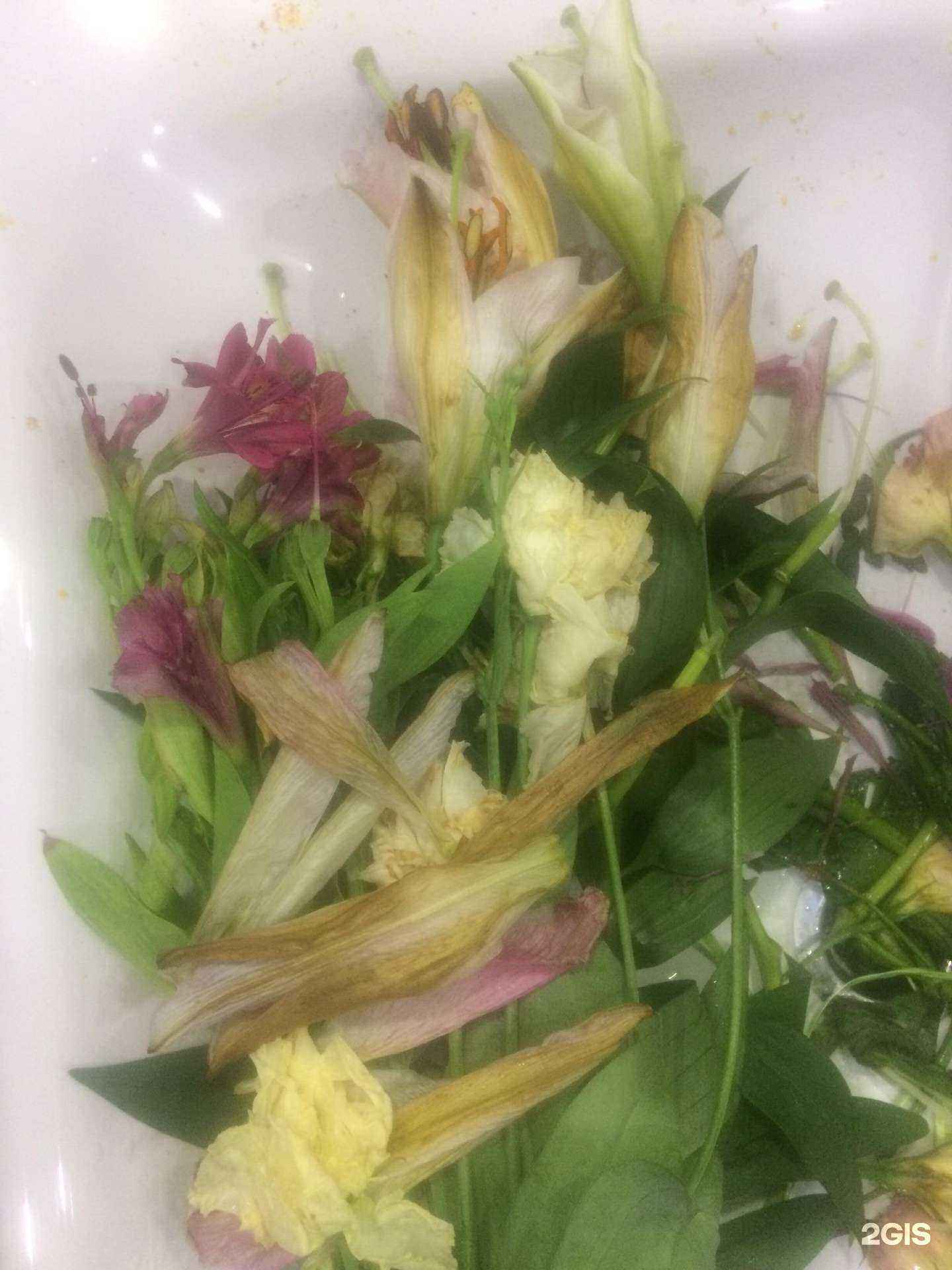 Отзывы на компанию Флоренция в Екатеринбурге c фото