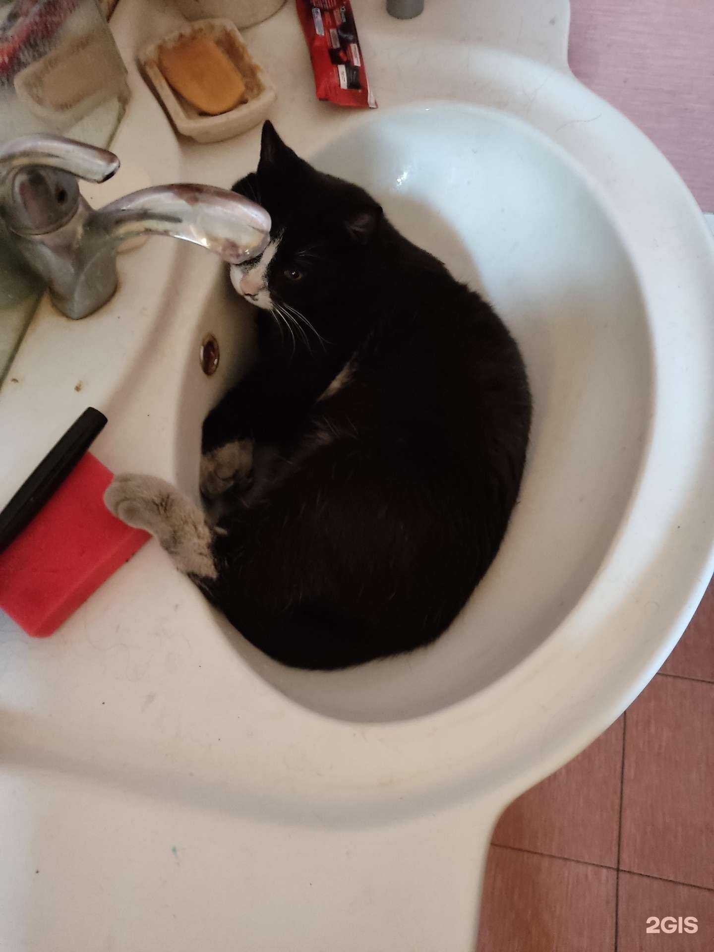 Отзывы на компанию Детский сад №123 в г. Новокузнецк c фото