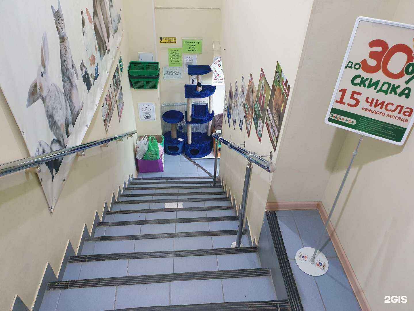 Отзывы на компанию Зверье Мое в г. Сыктывкар c фото