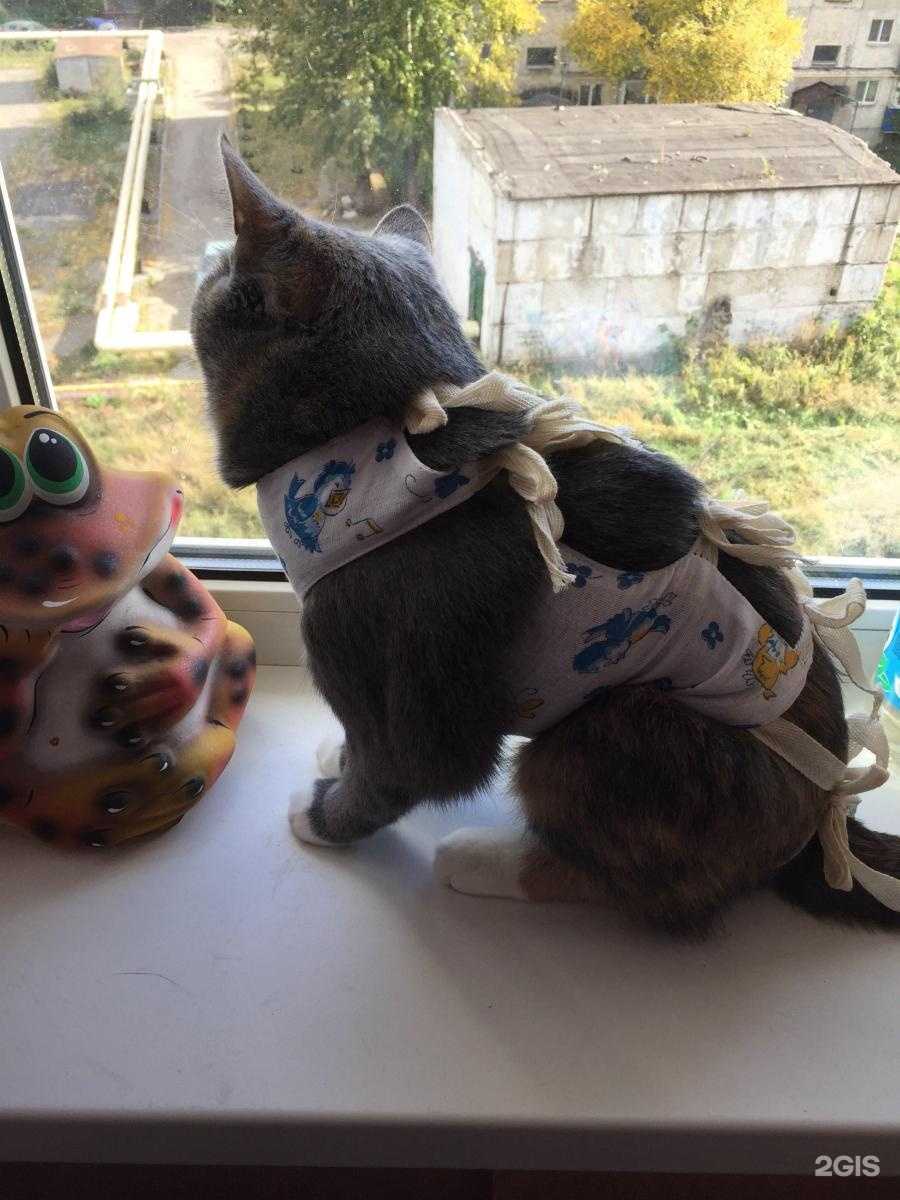 Отзывы на компанию Курганский центр ветеринарии в г. Курган c фото