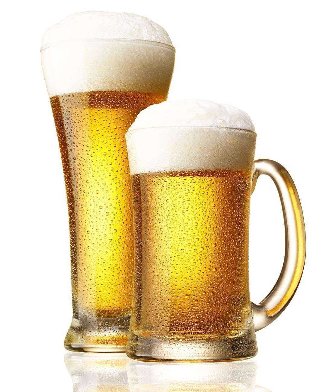 Отзывы на компанию Беркут в г. Махачкала c фото