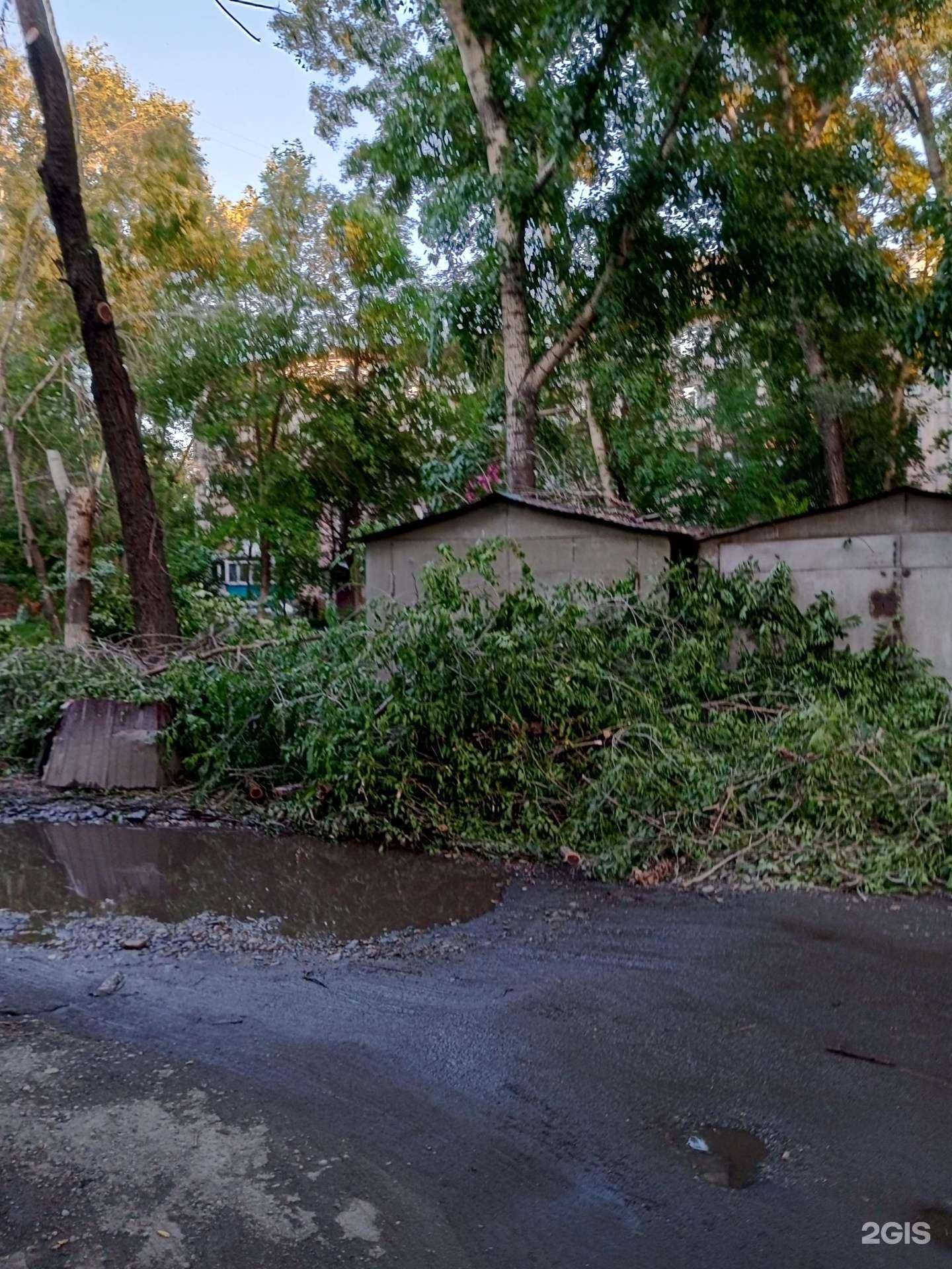 Отзывы на компанию Зеленстрой в Бийске c фото