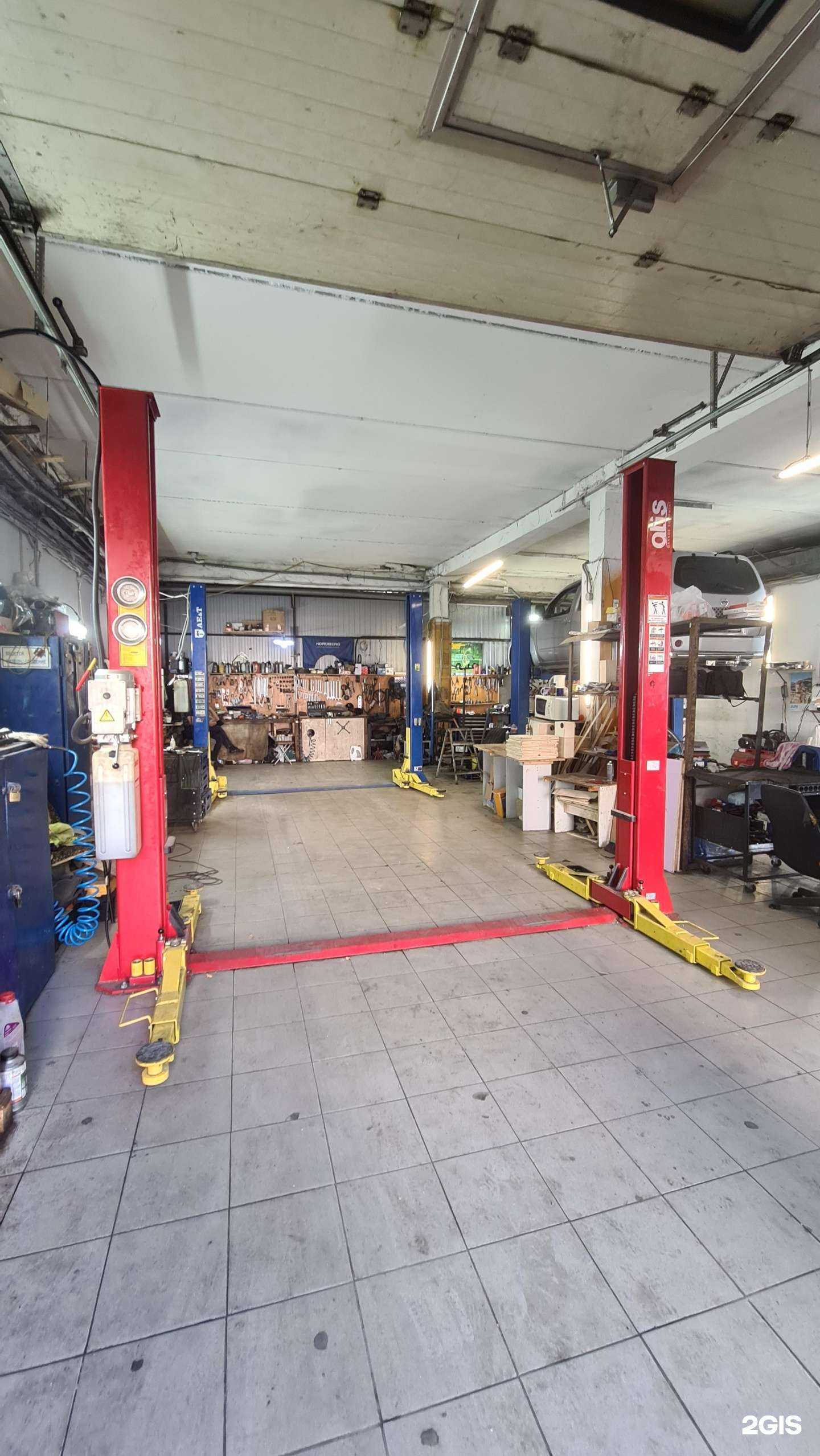 Отзывы на компанию Кот в Краснодаре c фото