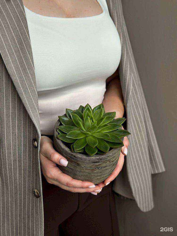 Отзывы на компанию Просто Зелено в г. Находка c фото