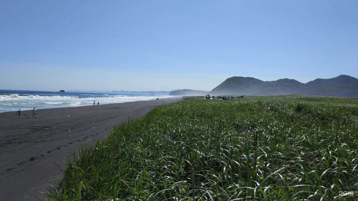 Отзывы на компанию Snowave в Петропавловске-Камчатском c фото - фотография 2 из 2