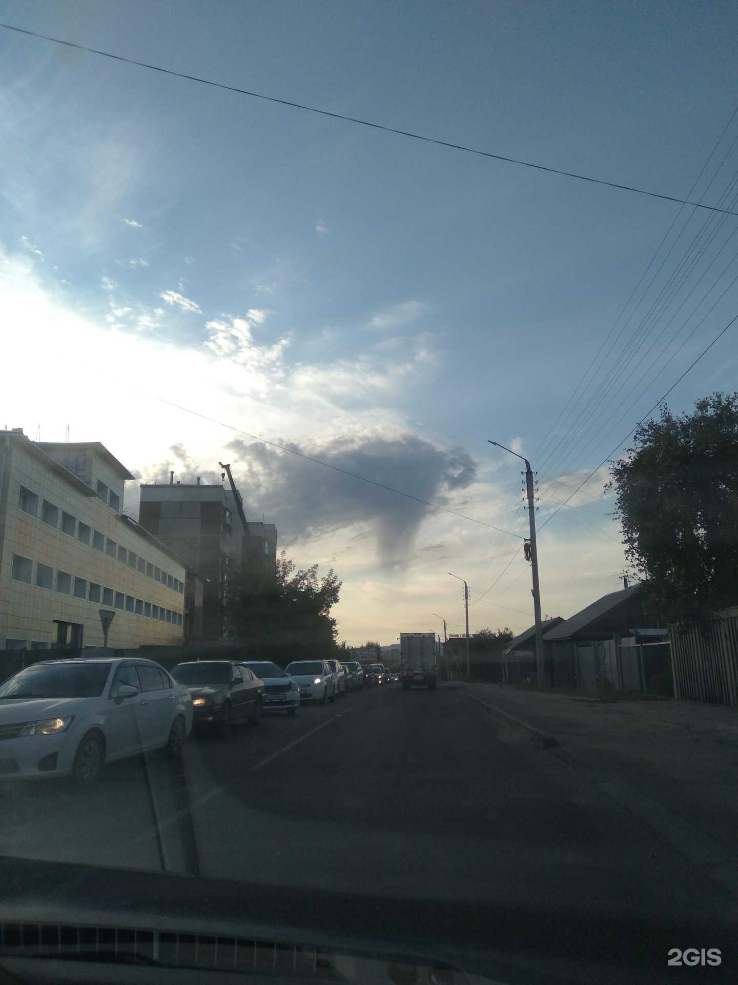 Отзывы на компанию Доктор Вет в Улан-Удэ c фото - фотография 2 из 2