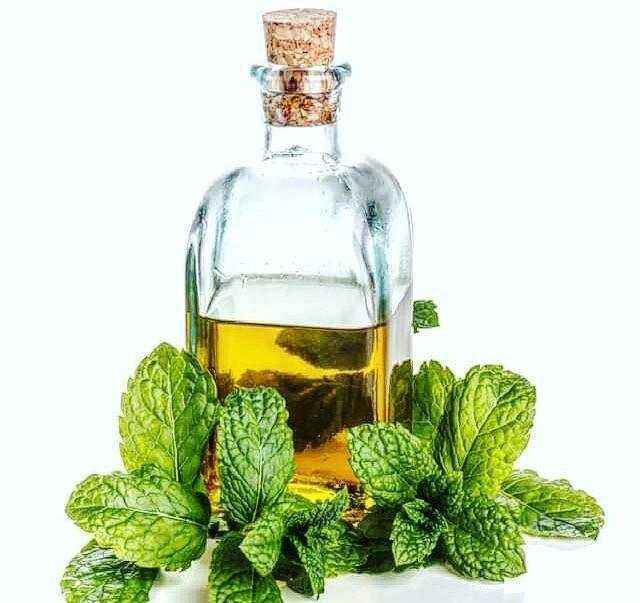 Отзывы на компанию Исида в Армавире c фото