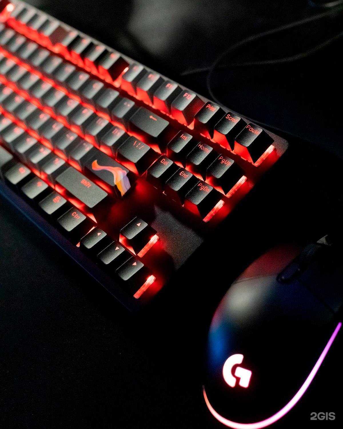 Отзывы на компанию KRAKEN в Великом Новгороде c фото