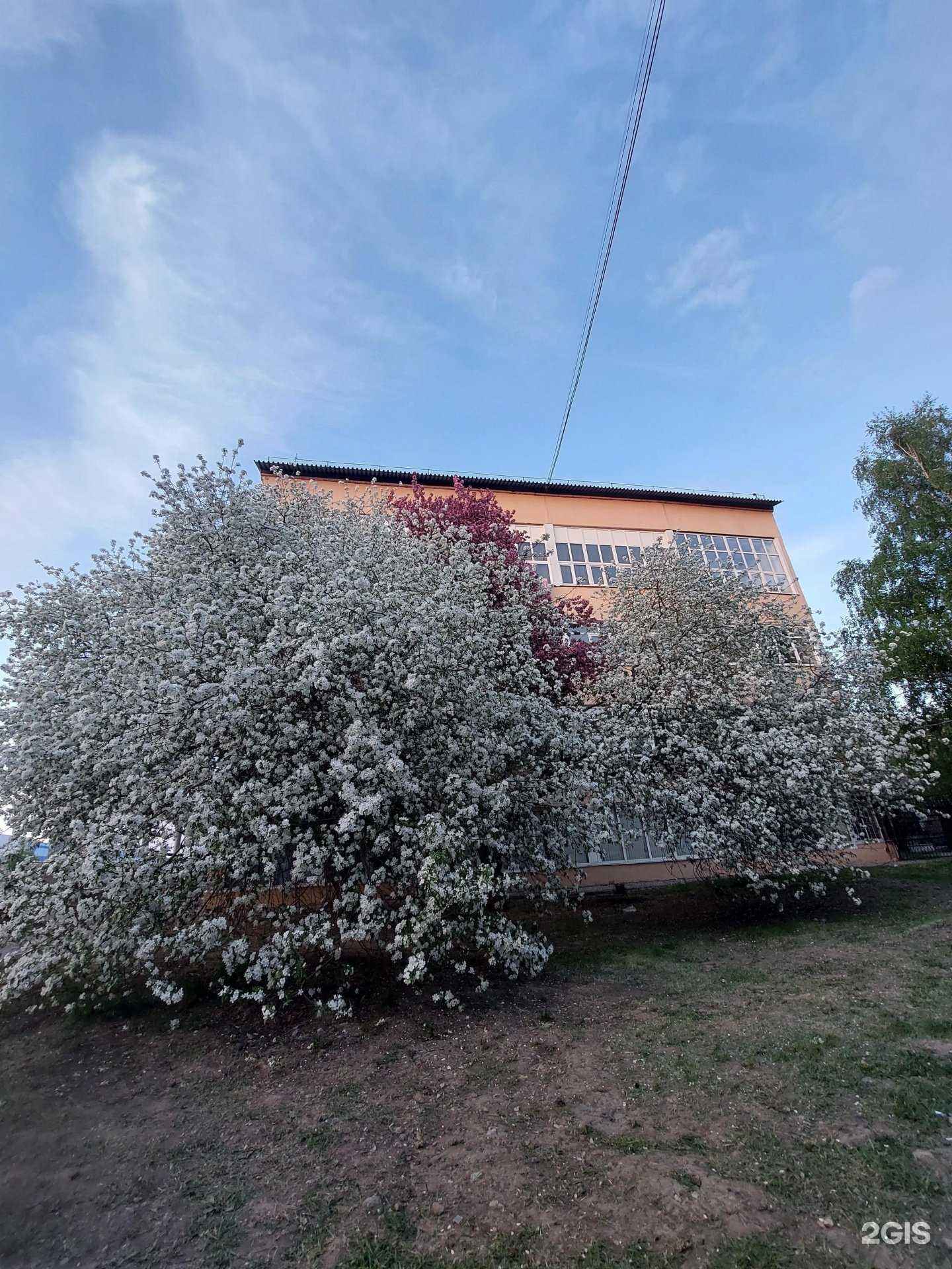 Отзывы на компанию Seoleader  в Барнауле c фото - фотография 2 из 2