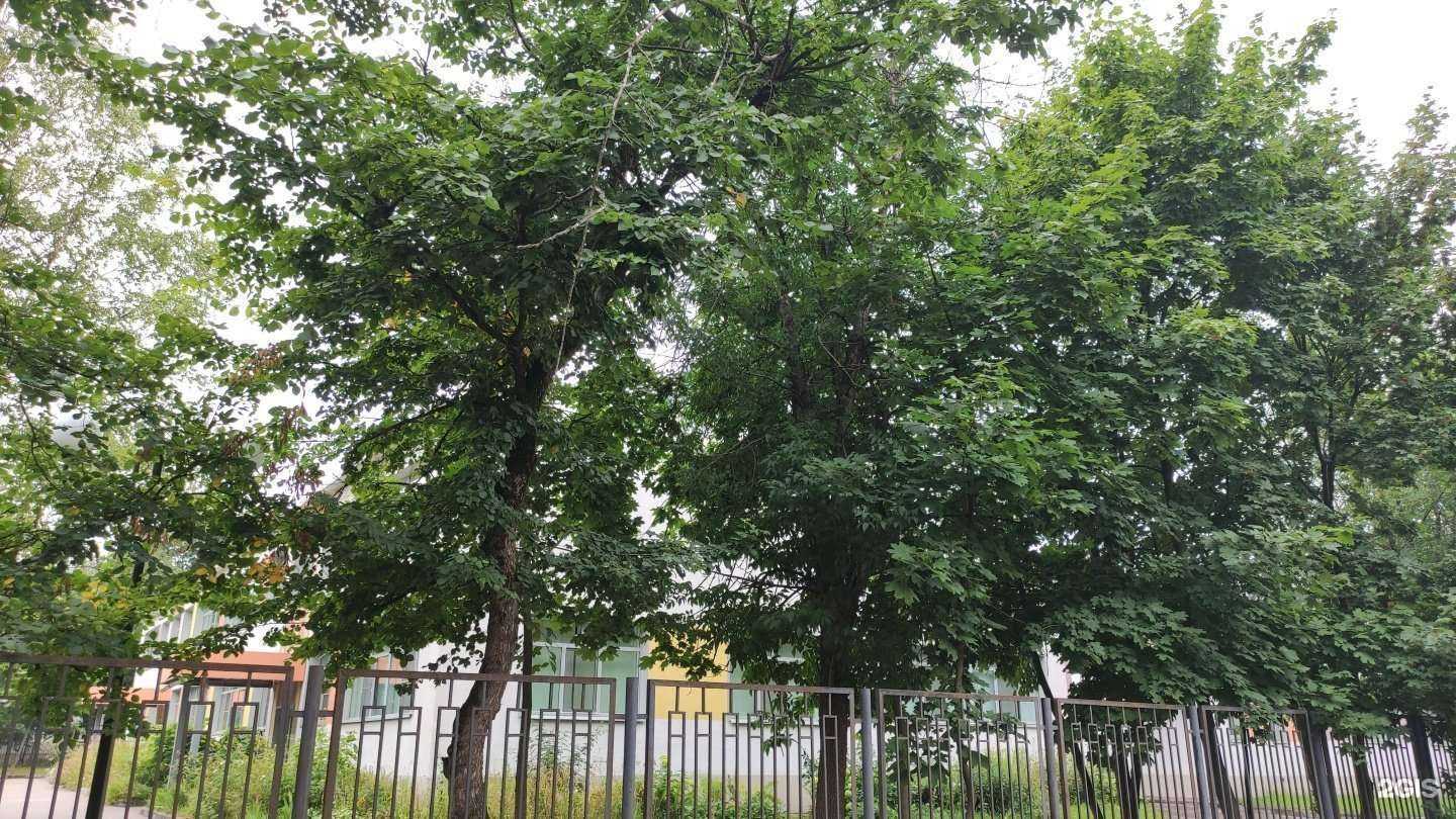 Отзывы на компанию Детская художественная школа им. Н.Н. Лаврентьевой в Электростали c фото - фотография 2 из 2