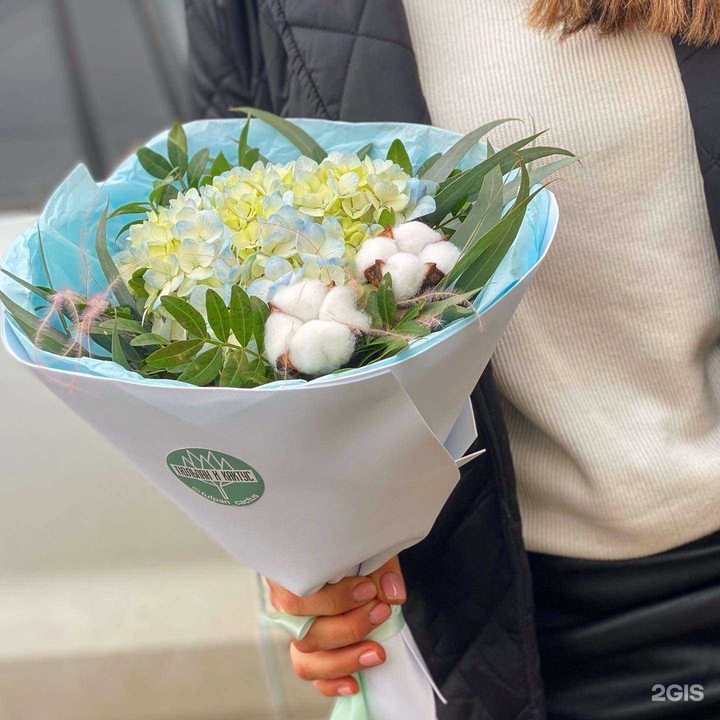 Отзывы на компанию Тюльпан и кактус в Таганроге c фото