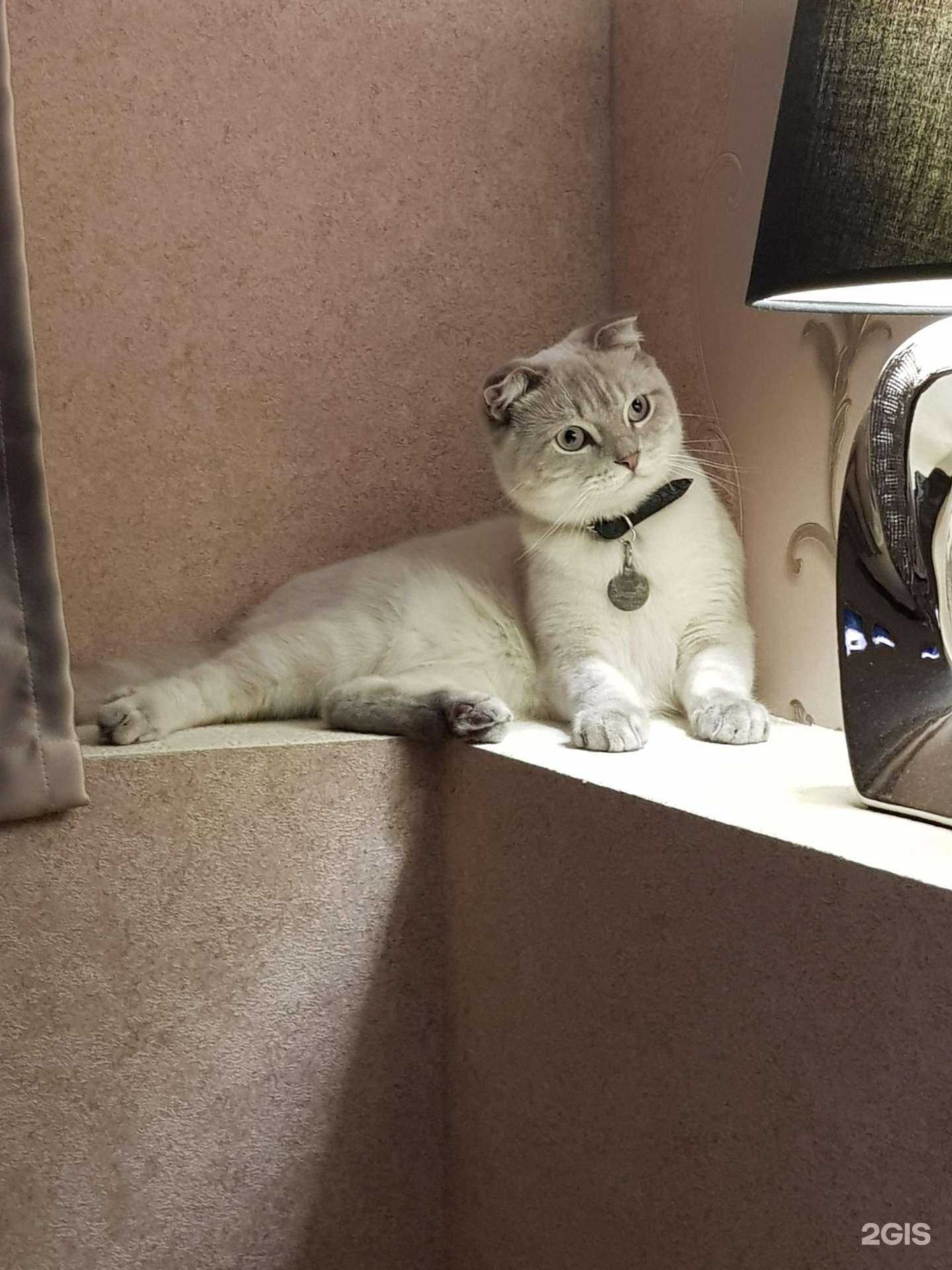 Отзывы на компанию Желе в г. Владимир c фото