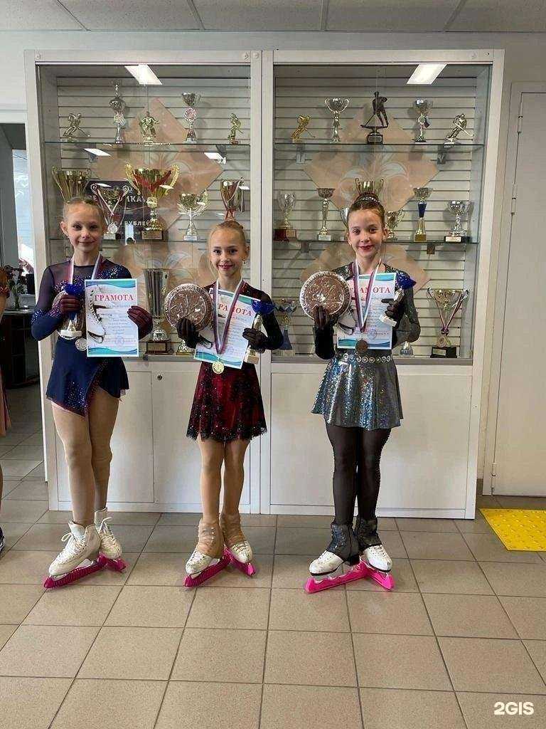 Отзывы на компанию Ледовый в Липецке c фото