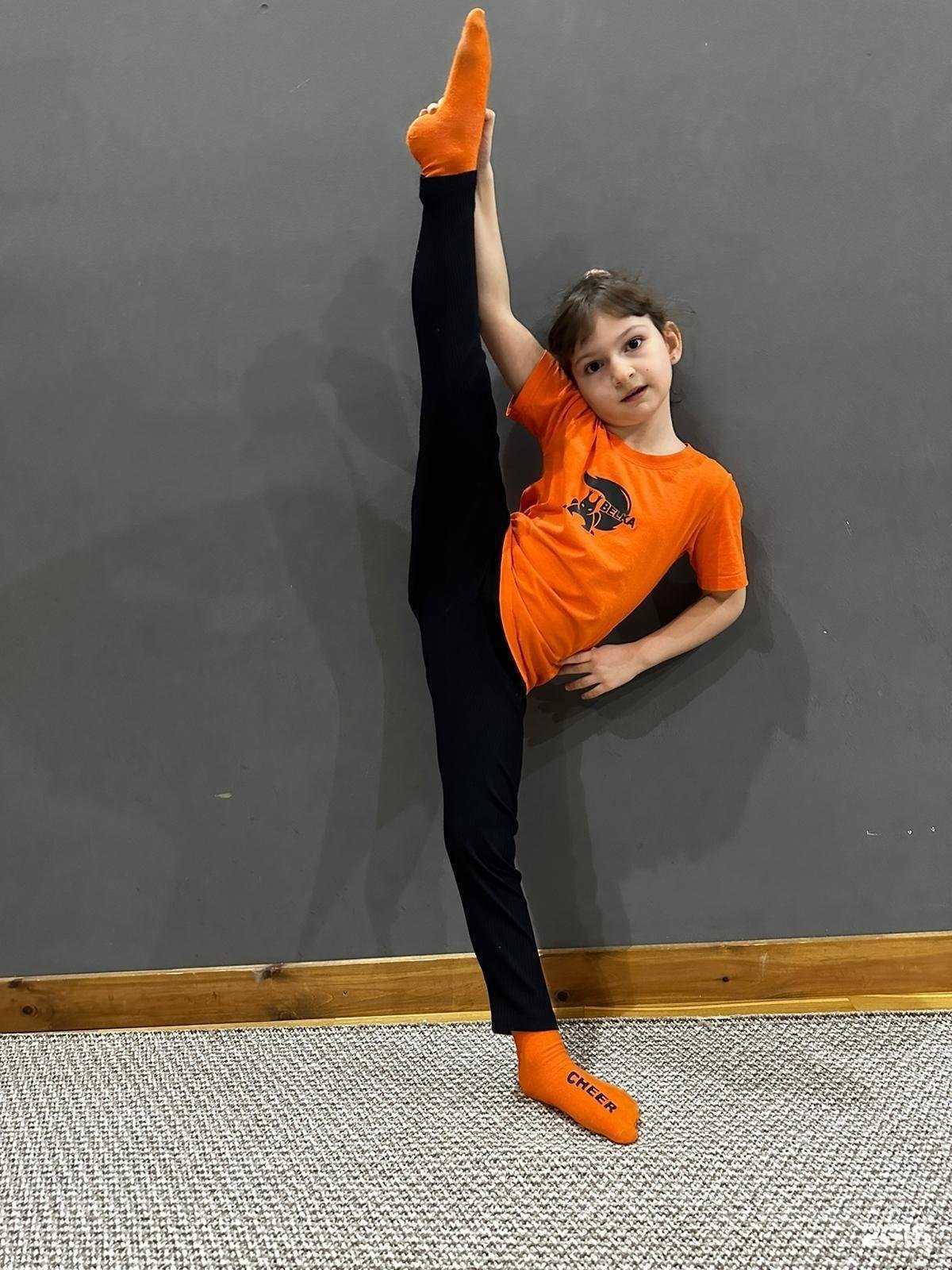 Отзывы на компанию Cheer белка в г. Сочи c фото