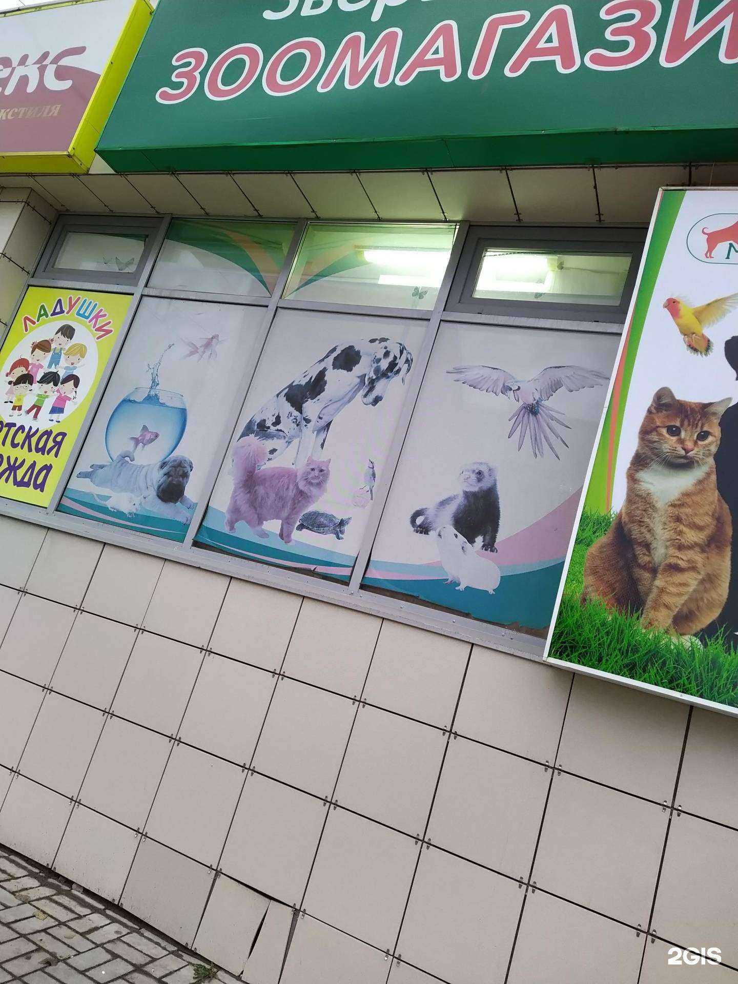 Отзывы на компанию Зверье мое в г. Киров c фото