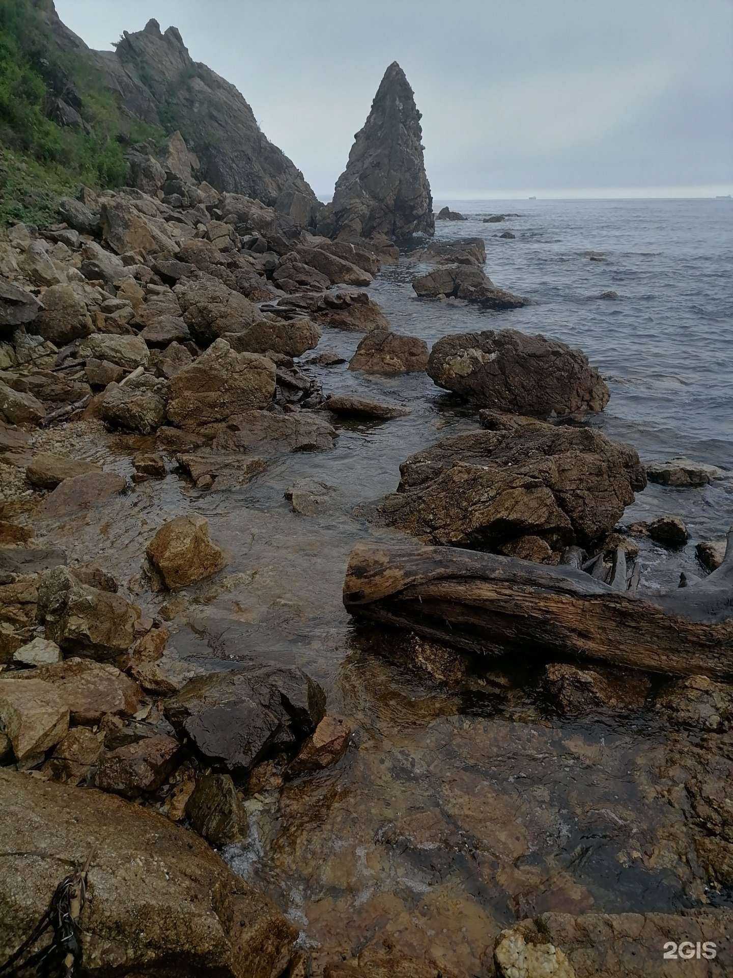 Отзывы на компанию Гайдамак в Находке c фото