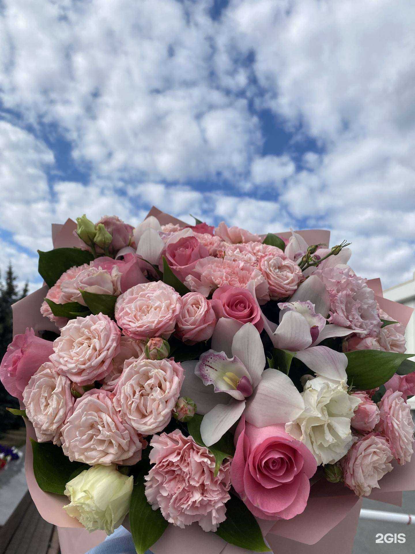 Отзывы на компанию Амели в Уфе c фото