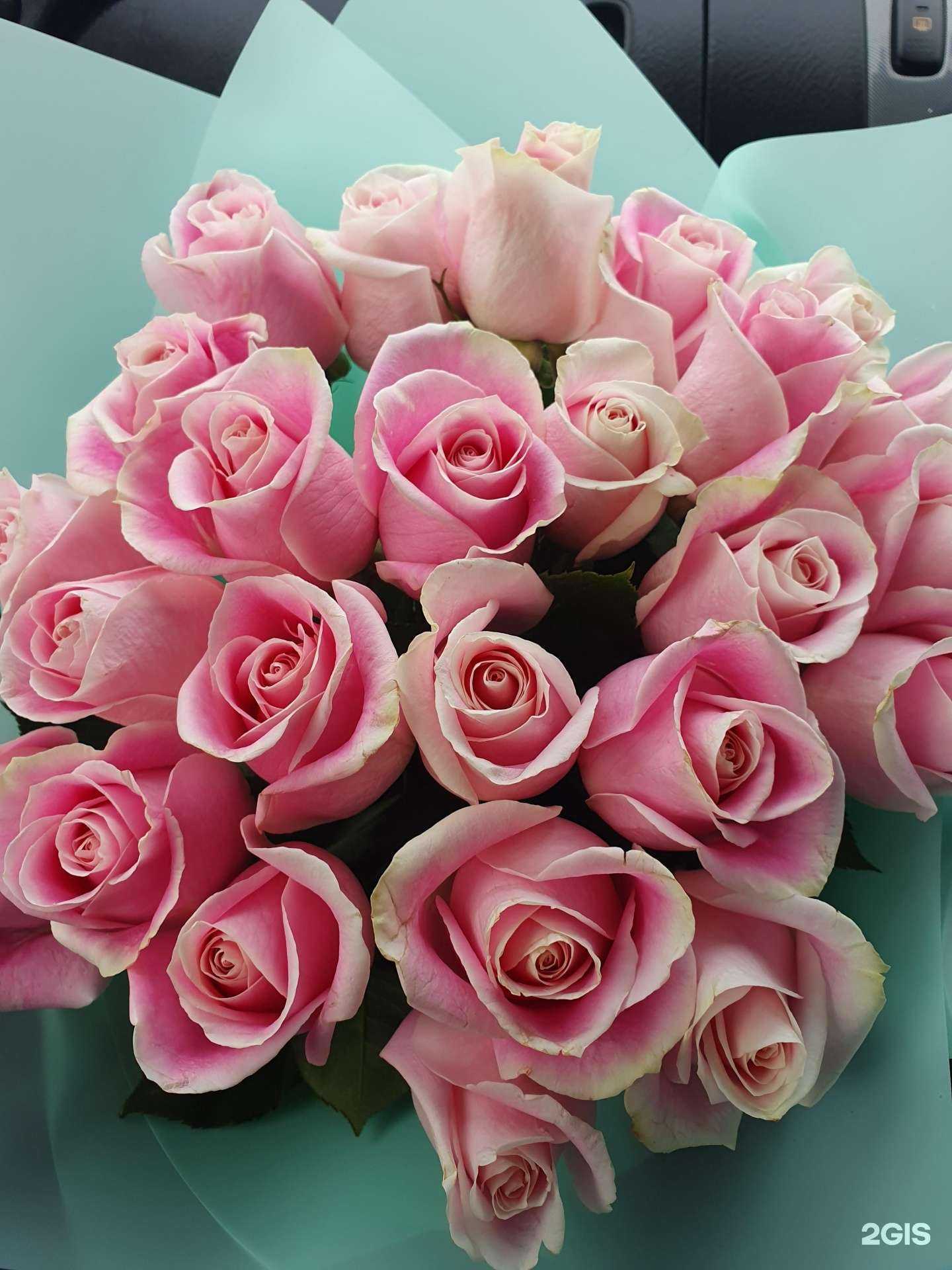 Отзывы на компанию Роза ДВ в г. Владивосток c фото