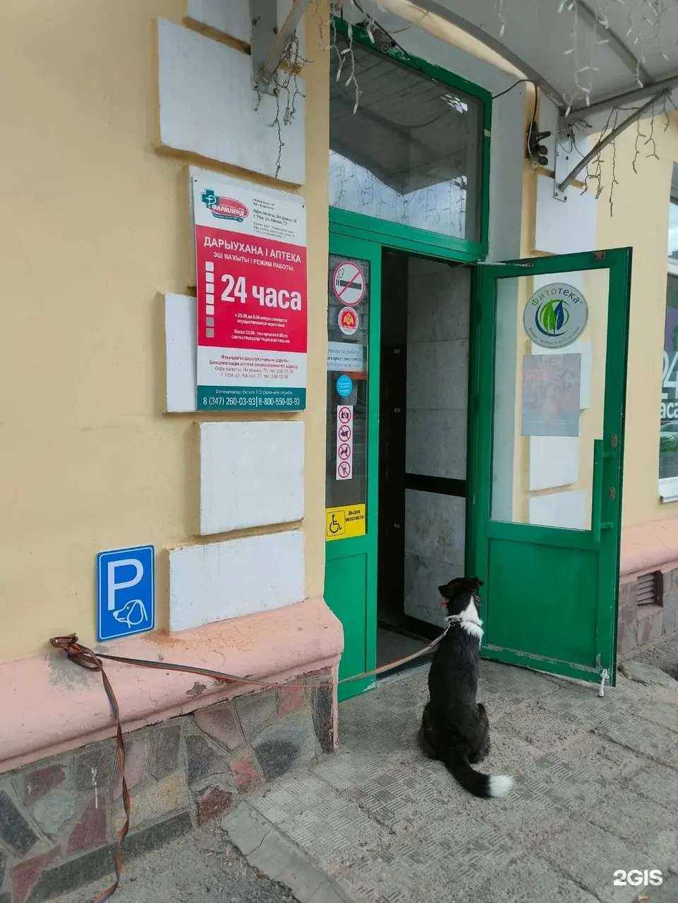 Отзывы на компанию Фармленд в Октябрьском c фото