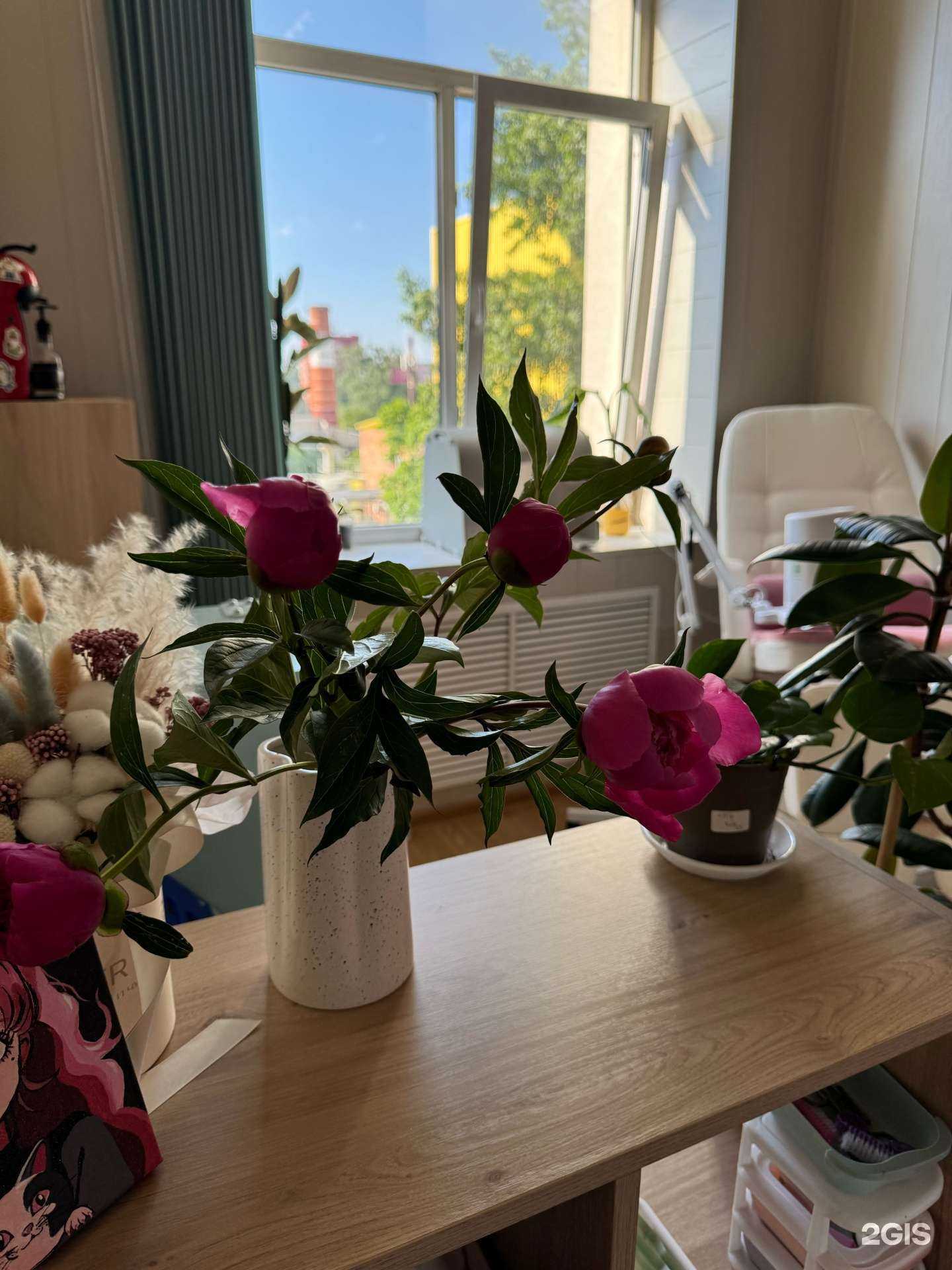 Отзывы на компанию Kotic nails в Ставрополе c фото