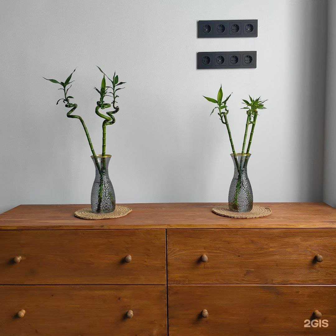 Отзывы на компанию Classic.Fit  в Воронеже c фото