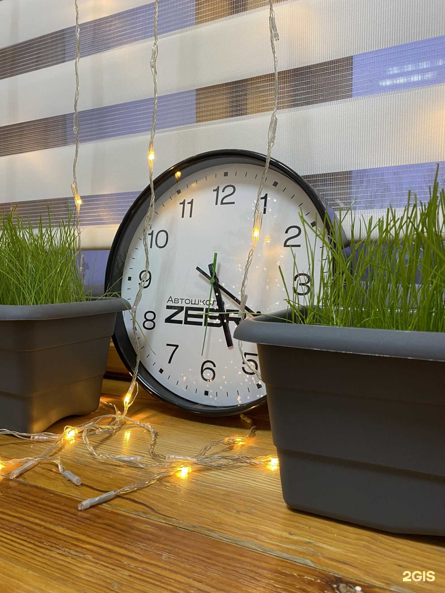 Отзывы на компанию Zebra в Барнауле c фото