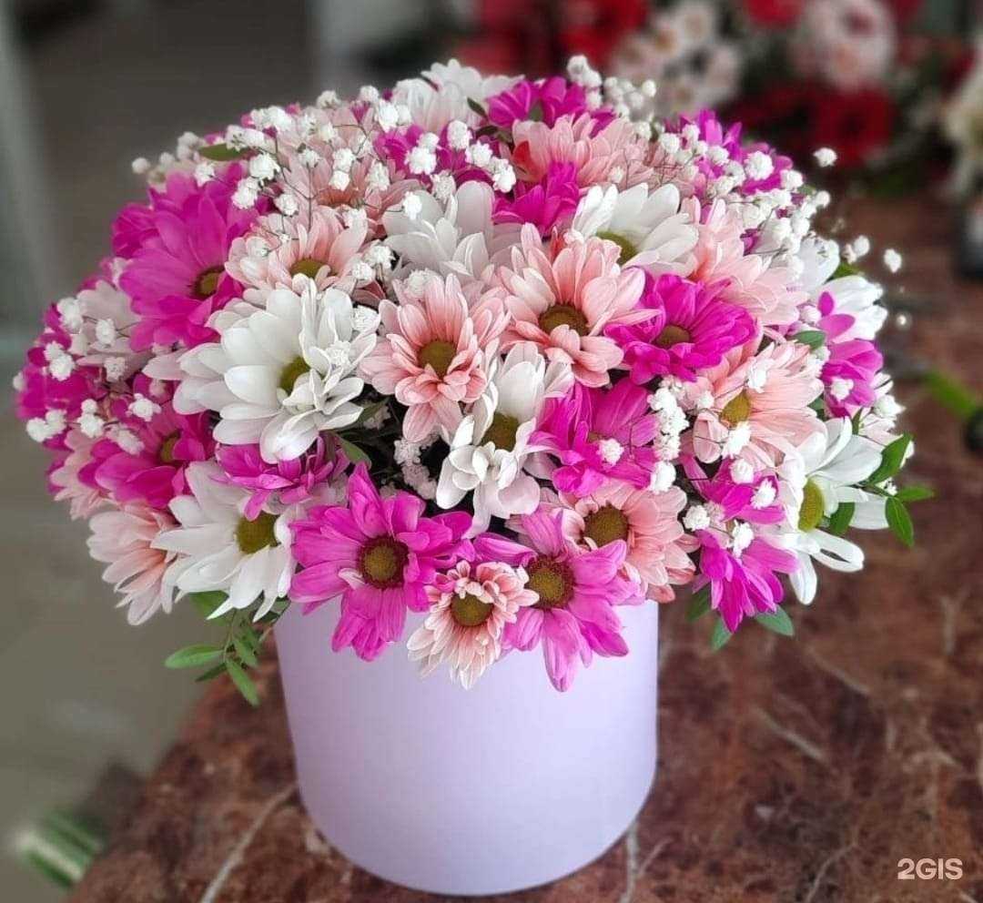 Отзывы на компанию Азалия флора в Балакове c фото