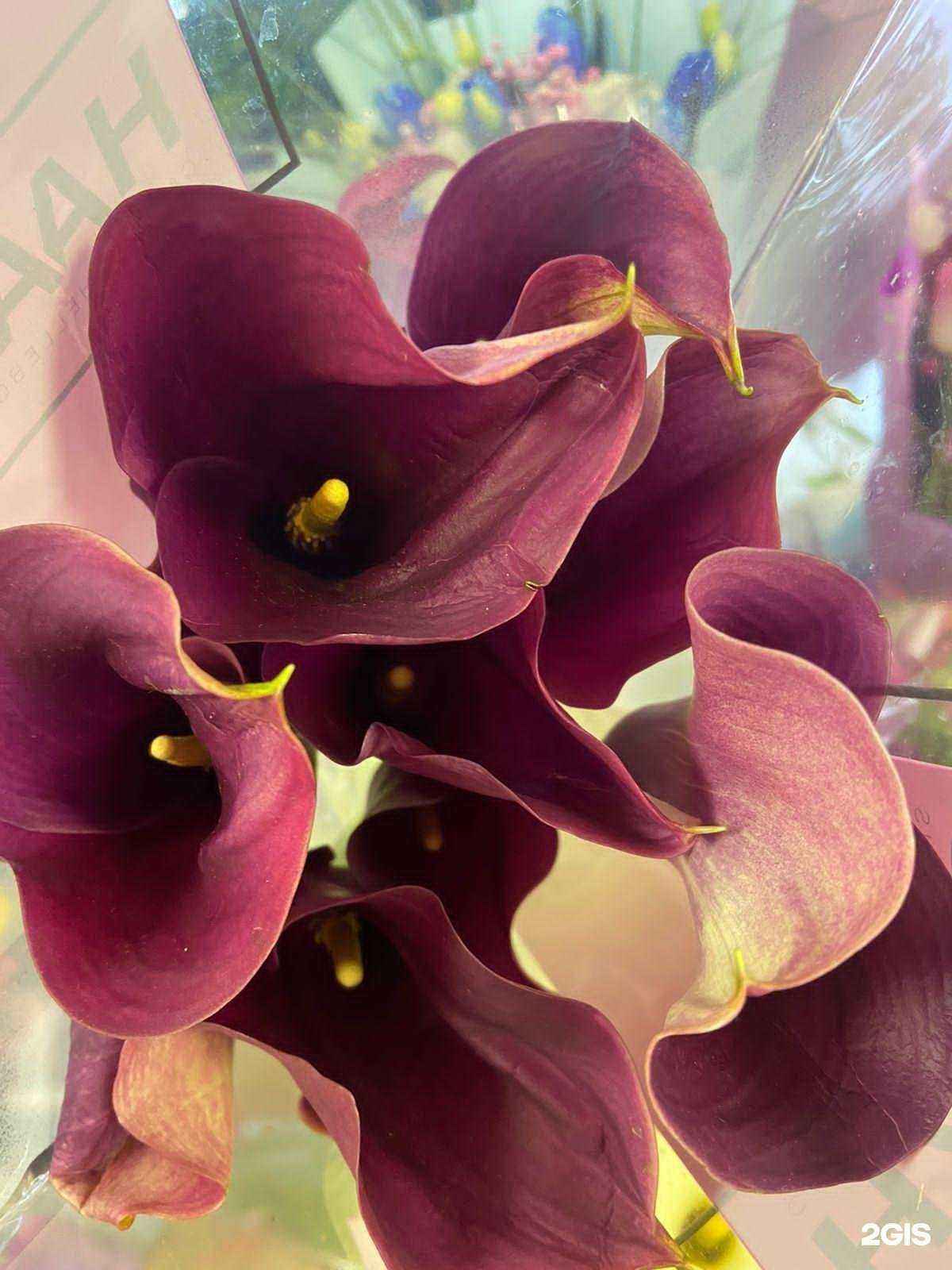 Отзывы на компанию Анастасия в г. Ульяновск c фото