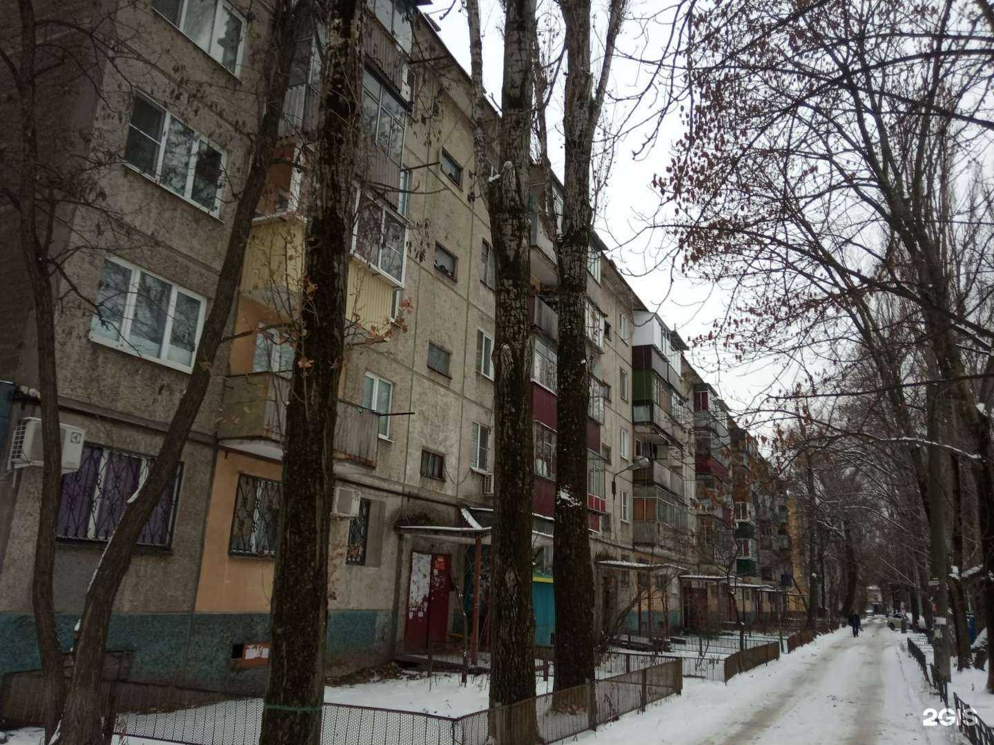 Отзывы на компанию Сирень в Липецке c фото - фотография 2 из 2