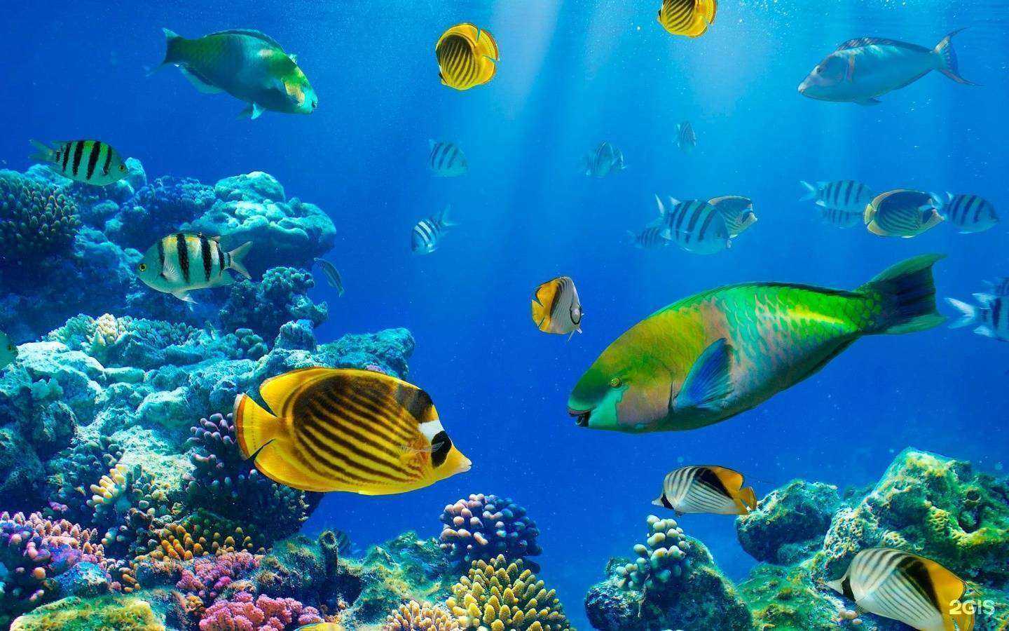 Отзывы на компанию Мир подводного охотника в Пензе c фото