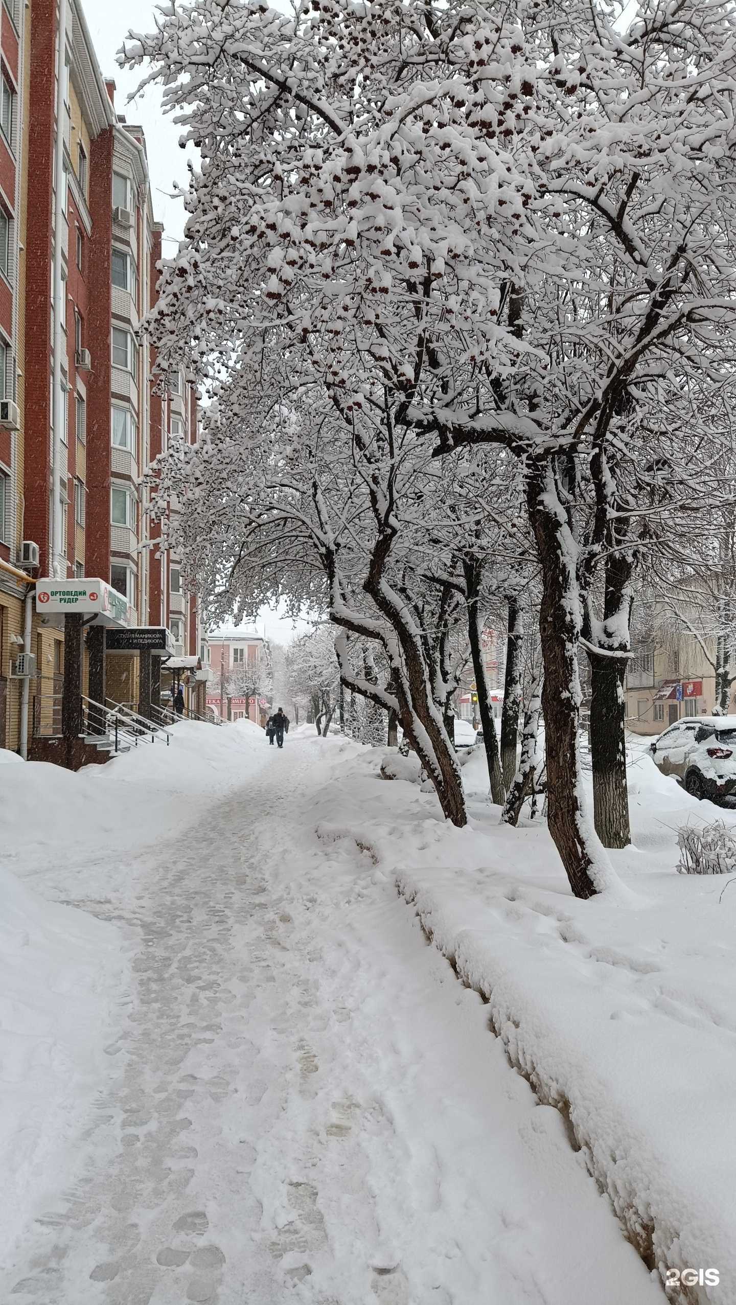 Отзывы на компанию ВеземДеталь. ру в Йошкар-Оле c фото - фотография 2 из 2