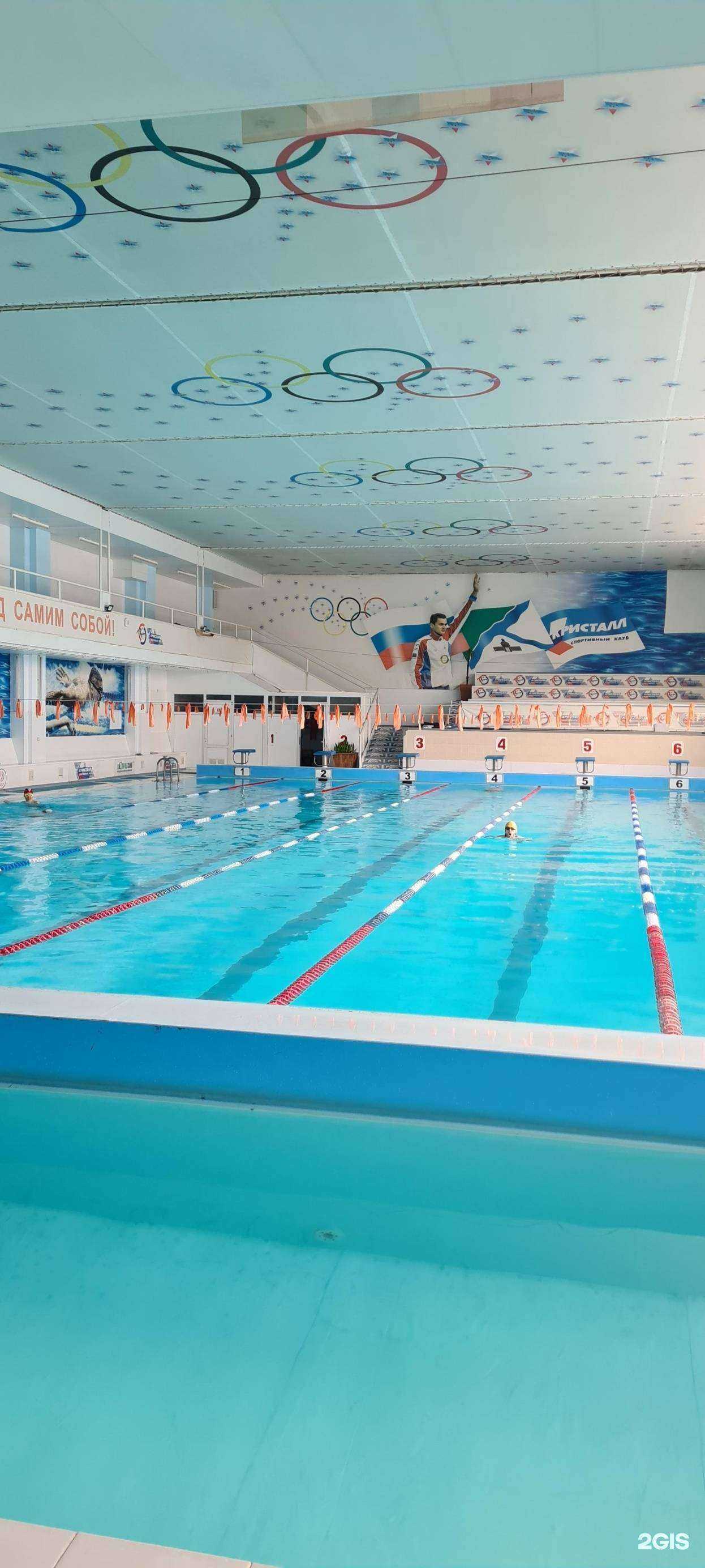 Отзывы на компанию Кристалл в Бердске c фото