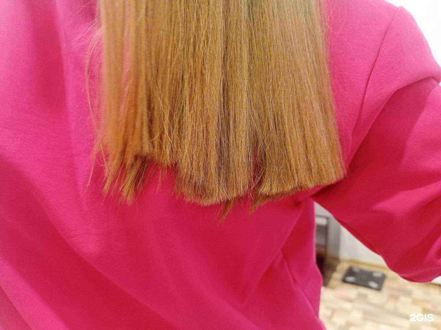 Отзывы на компанию Орхидея в г. Томск c фото