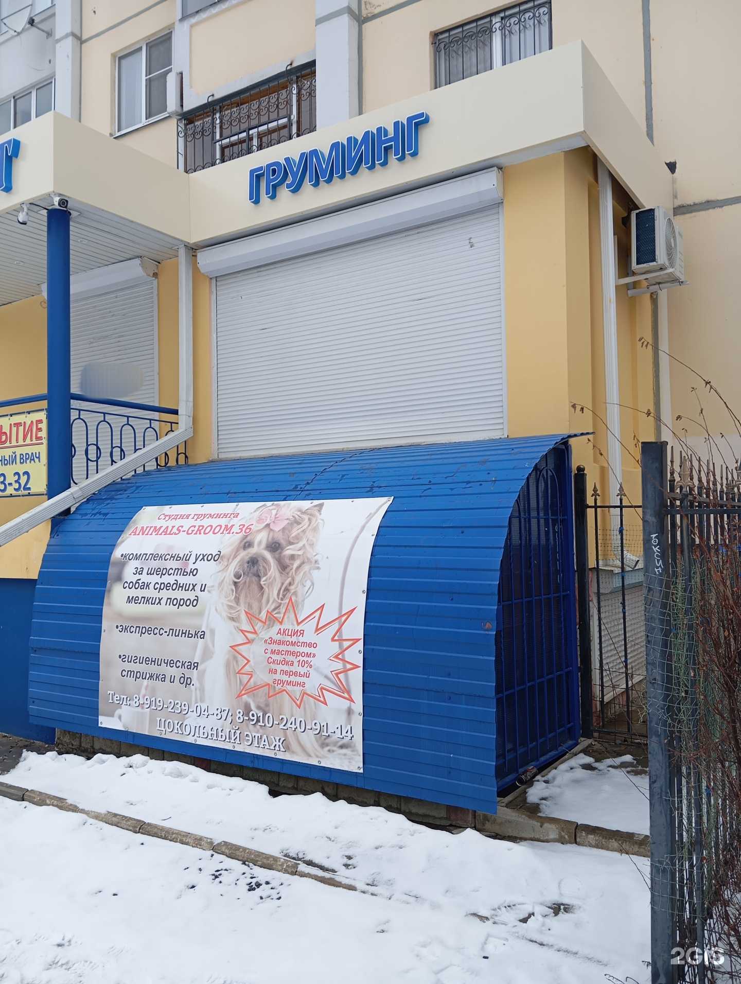 Отзывы на компанию Animals-groom.36 в Воронеже c фото