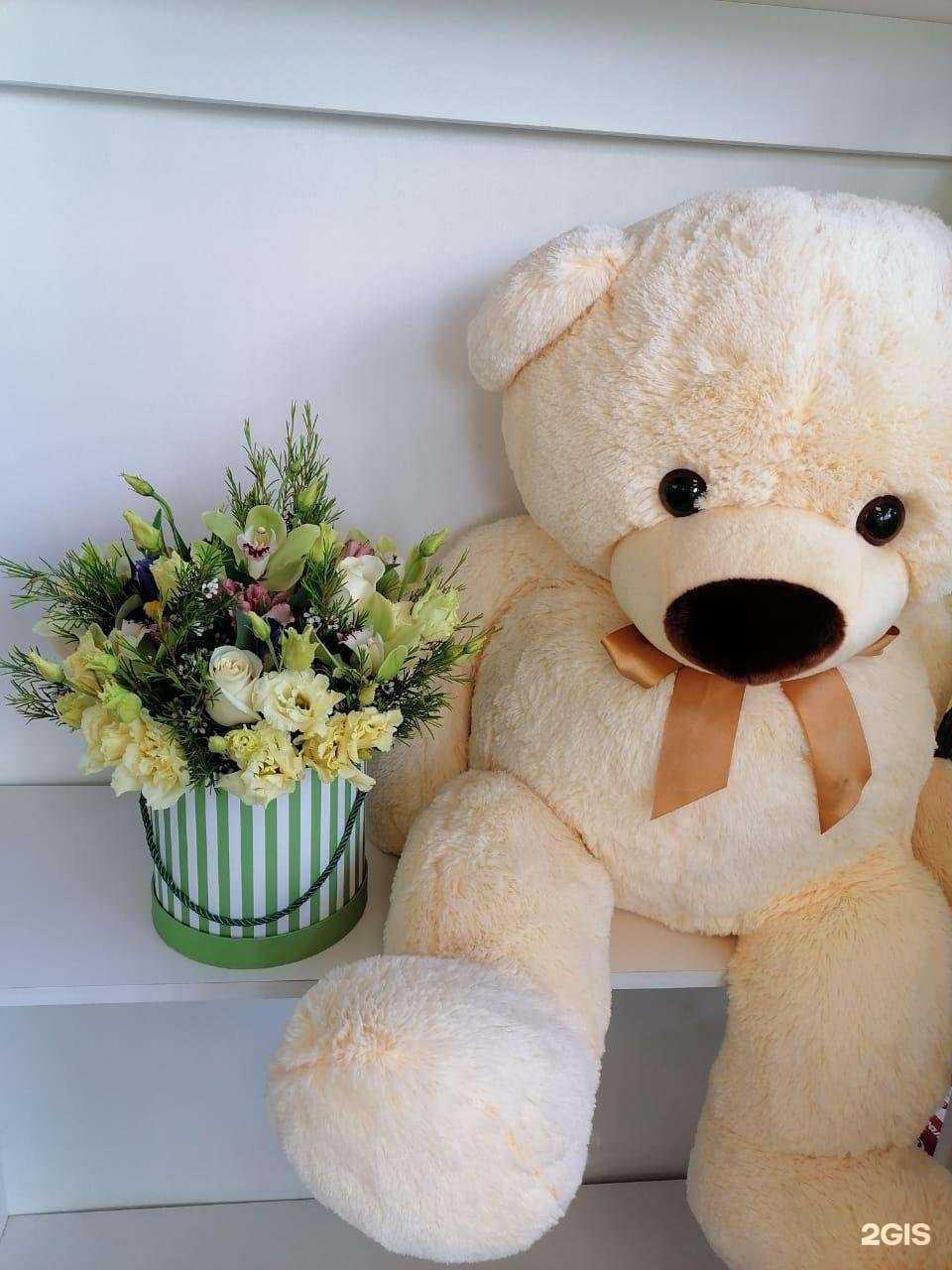 Отзывы на компанию Антуриум Tropic в Барнауле c фото