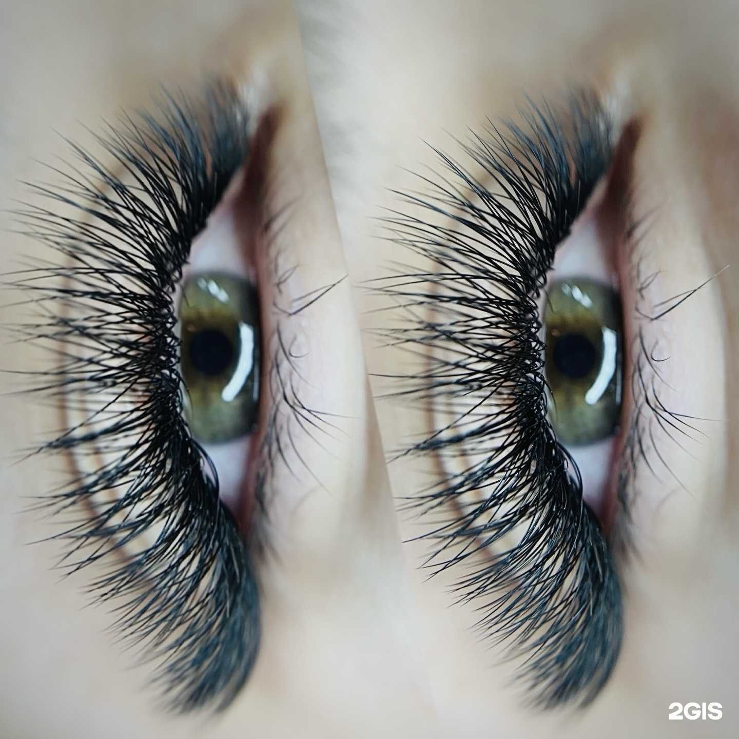 Отзывы на компанию Matrone Black Beauty в Красноярске c фото