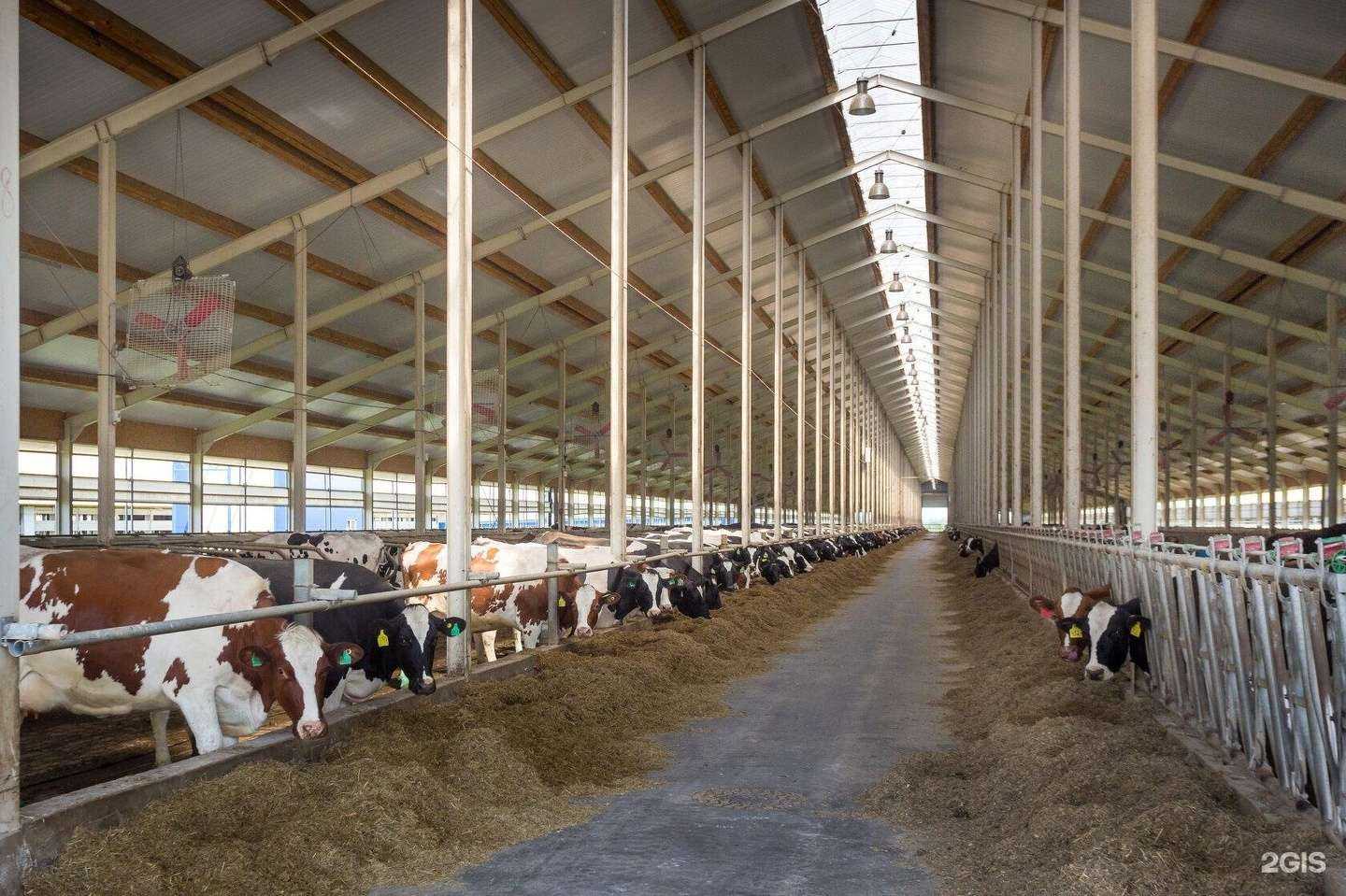 Отзывы на компанию Pentrimax в Воронеже c фото